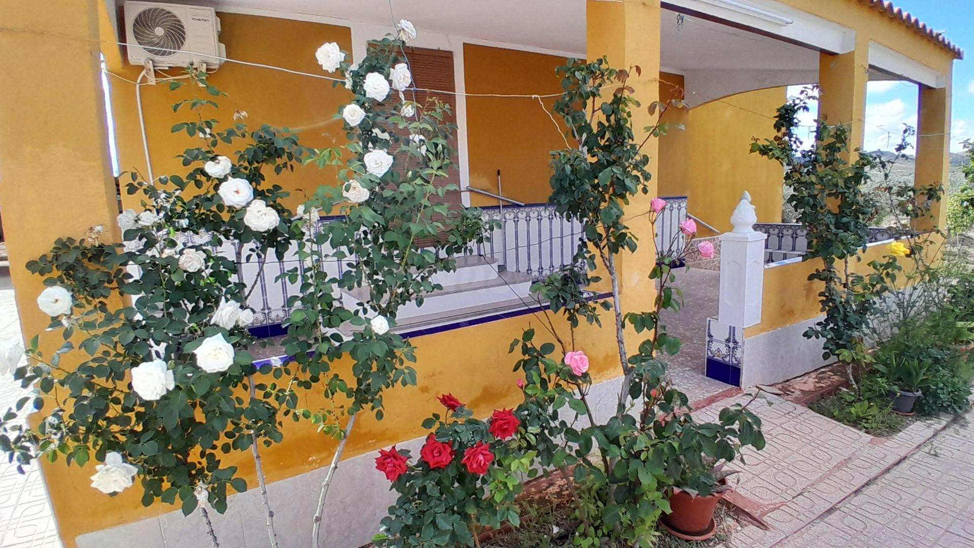 CHALET CON PISCINA EN YECLA - foto 2