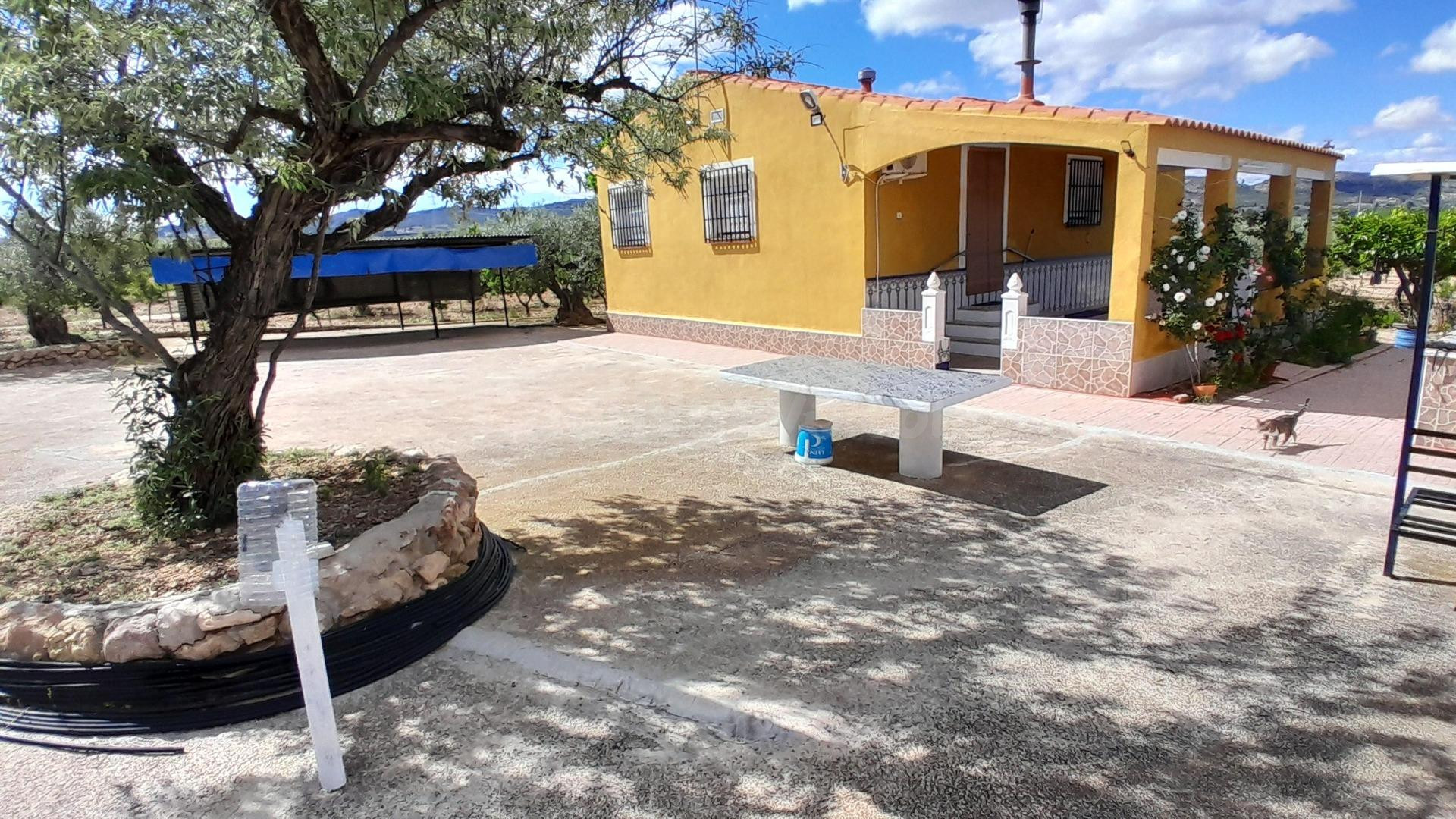 CHALET CON PISCINA EN YECLA - foto 4