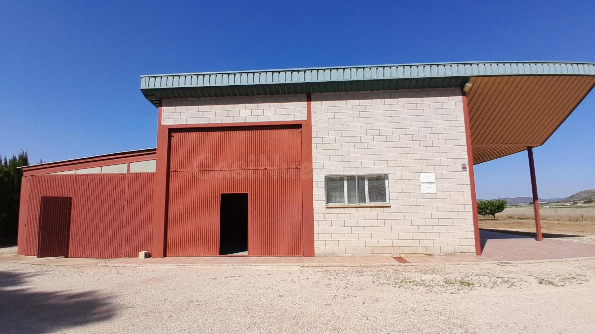 NAVE-CASA AGRICOLA EN YECLA