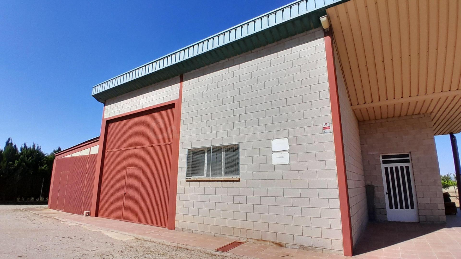 NAVE-CASA AGRICOLA EN YECLA - foto 4