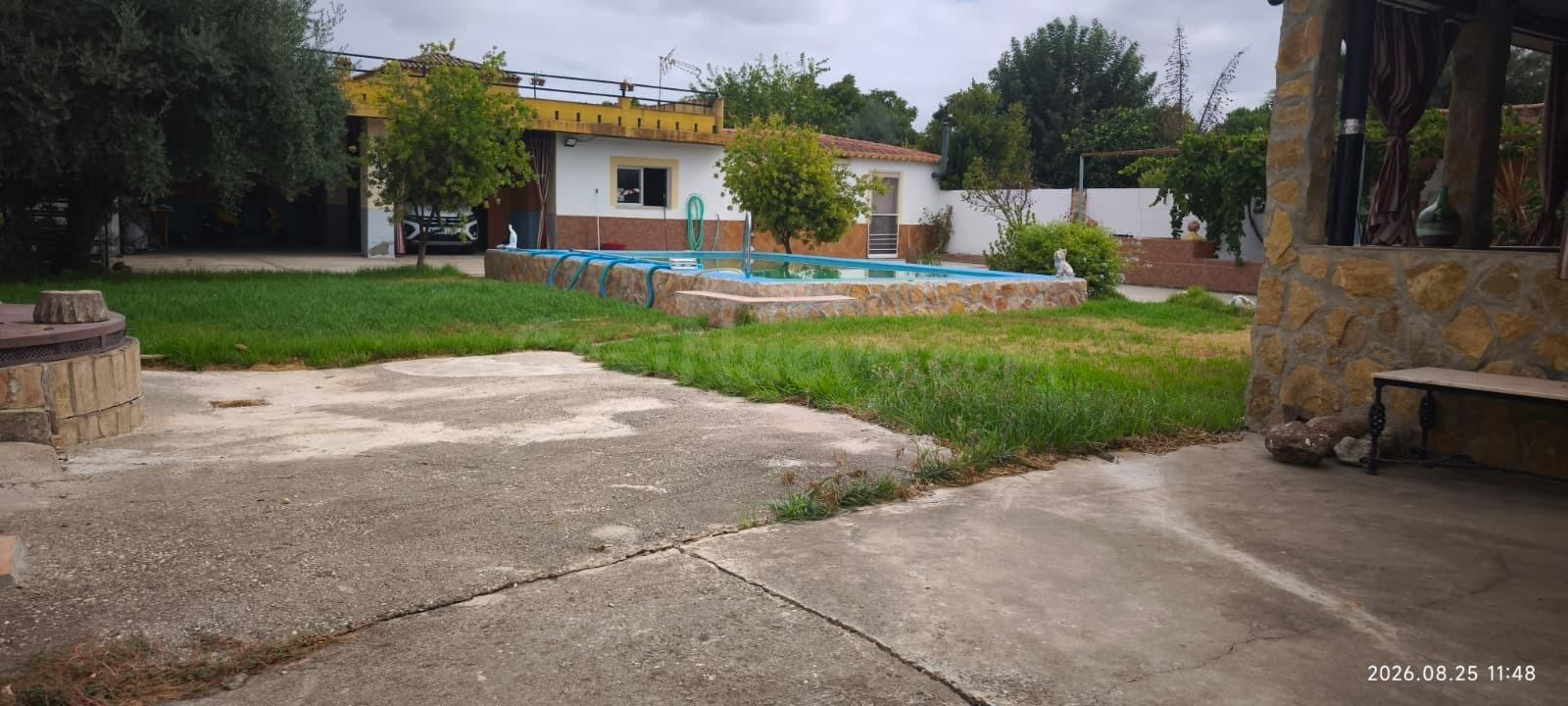 ESPECTACULAR PARCELA EN FOTANAR DE QUINTOS ( EL HIGUERON ) - foto 2