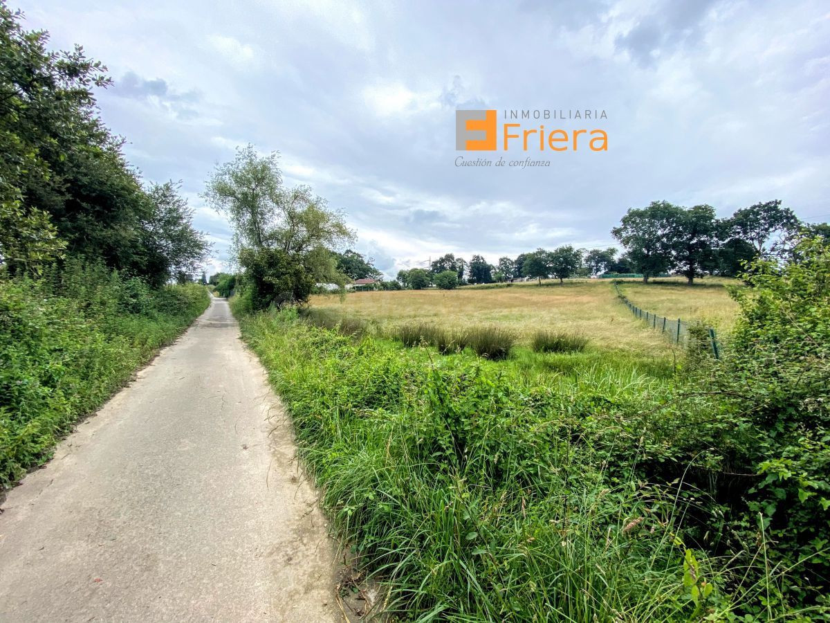 Terreno rural en venta - La Fresneda - foto 5
