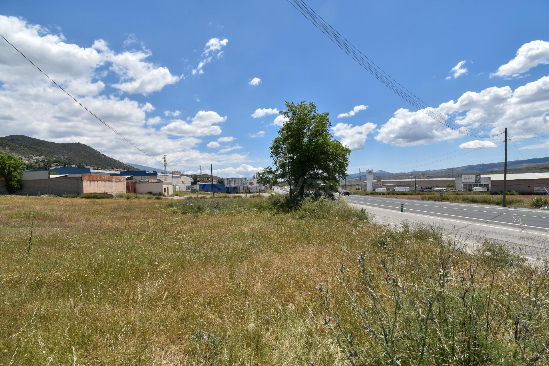 Se vende gran terreno rústico con opción industrial en Padul