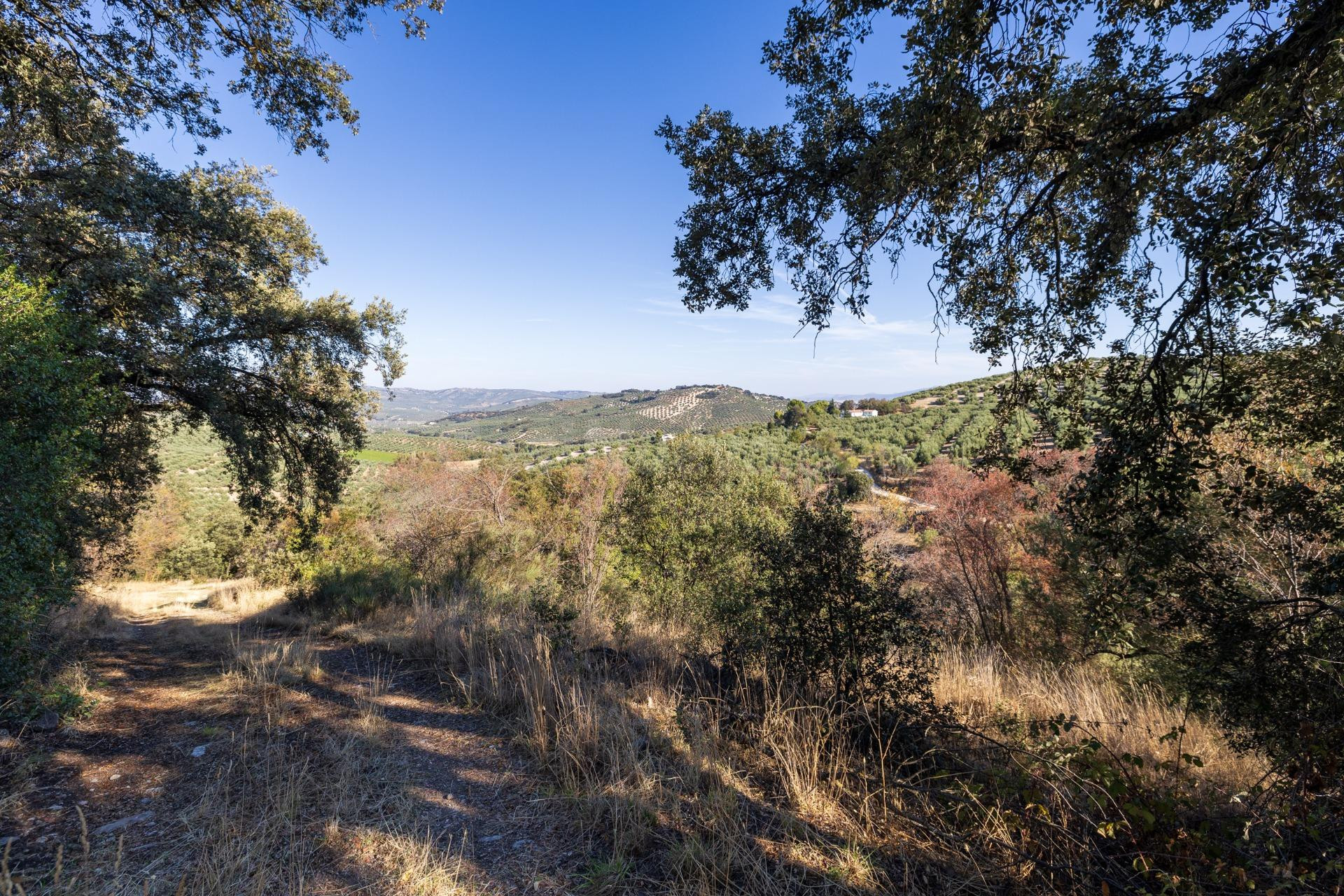 En uno de los pueblos más bonitos de España, finca ideal par - foto 4