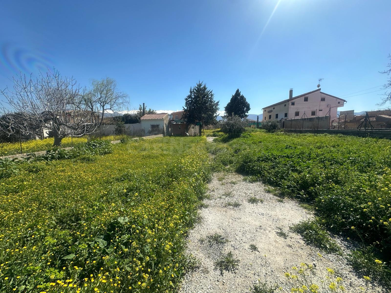 Terreno urbanizable en Ogijares