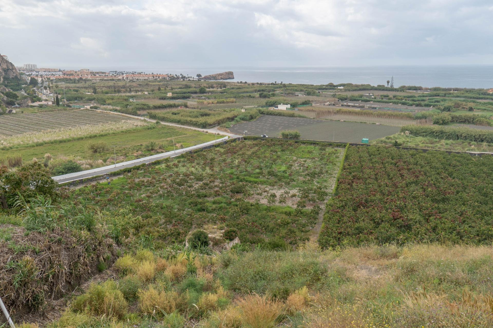 Finca con unas vistas de ensueño en Salobreña