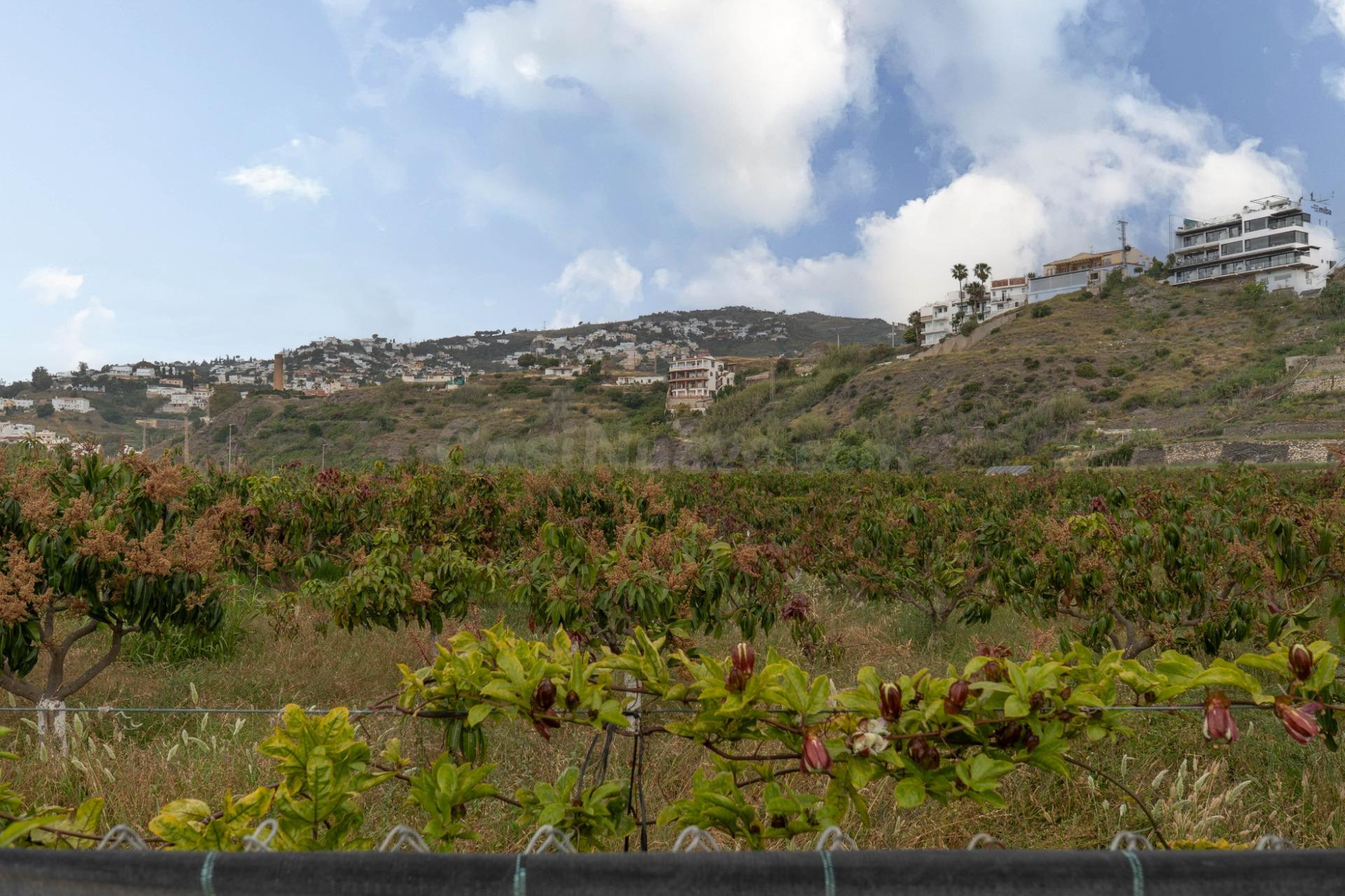 Finca con unas vistas de ensueño en Salobreña - foto 5