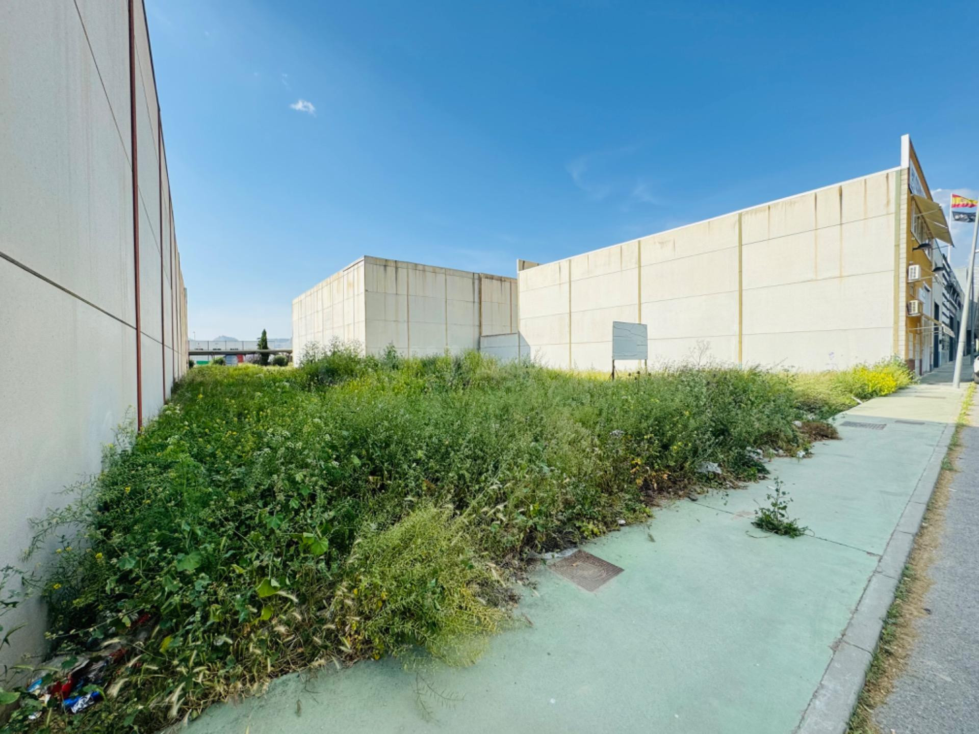 Terreno edificable - foto 2