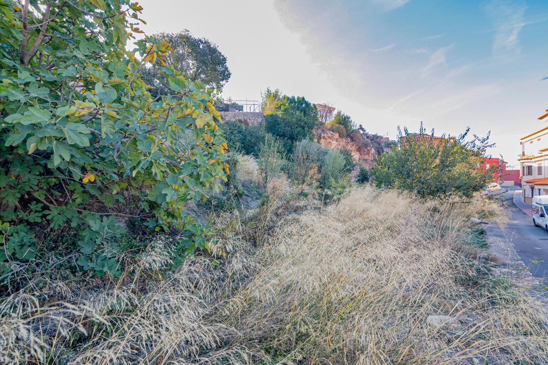 Oportunidad Única: Terreno Urbano en Vélez de Benaudalla - C - foto 3
