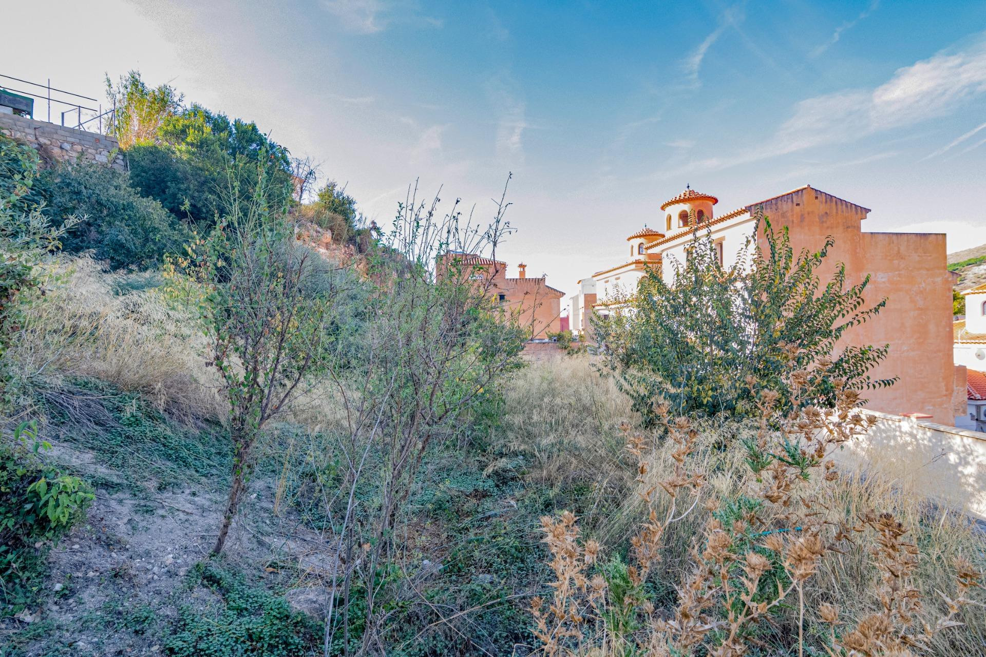 Oportunidad Única: Terreno Urbano en Vélez de Benaudalla - C - foto 5