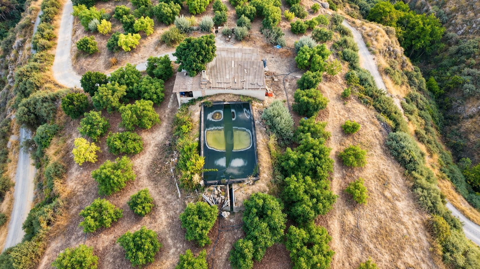 Finca en el Paraíso, Lecrín - foto 4