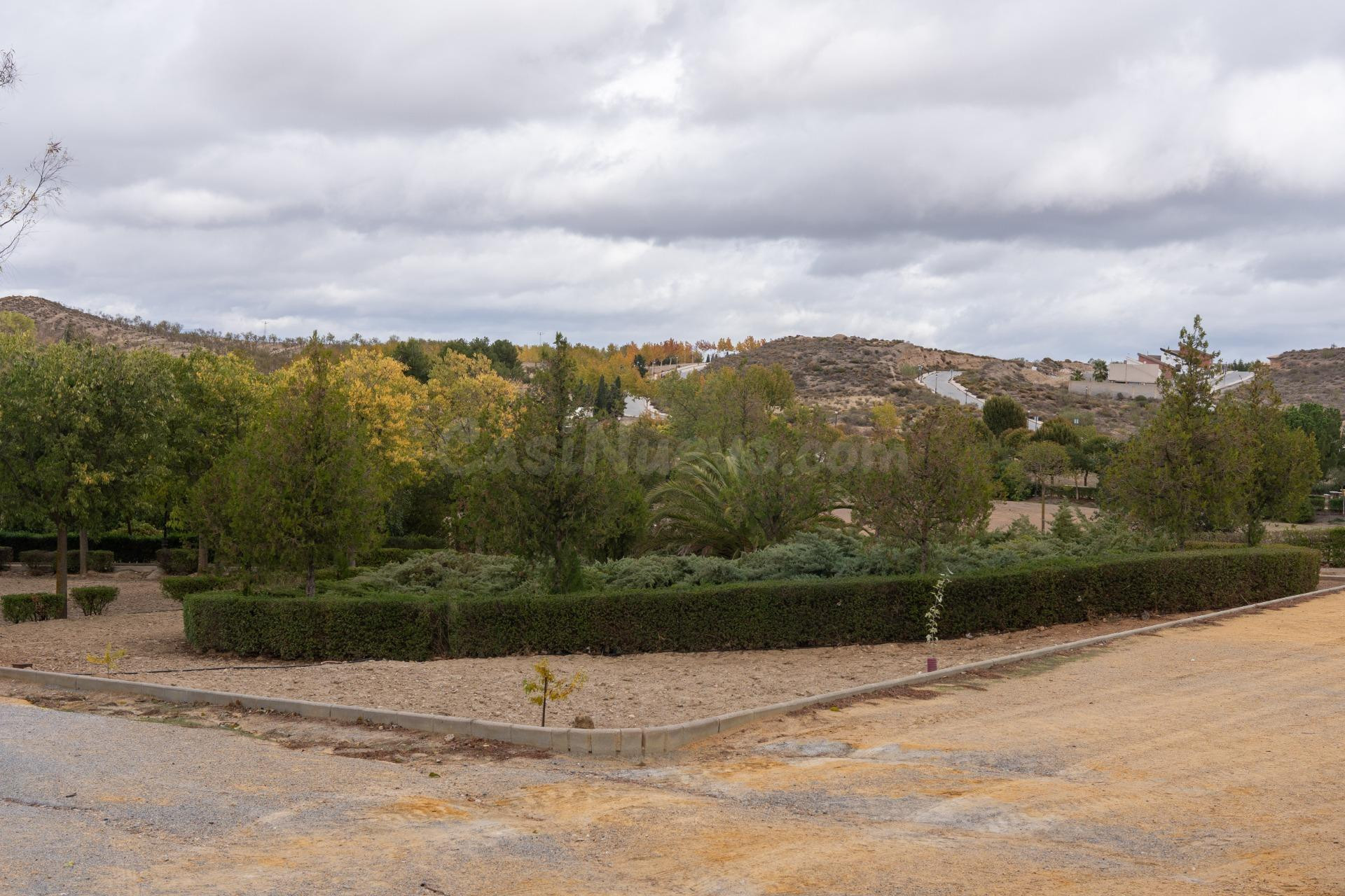 VENTA DE PARCELA EN LA URBANIZACIÓN CAÑADAS DEL PARQUE - foto 2