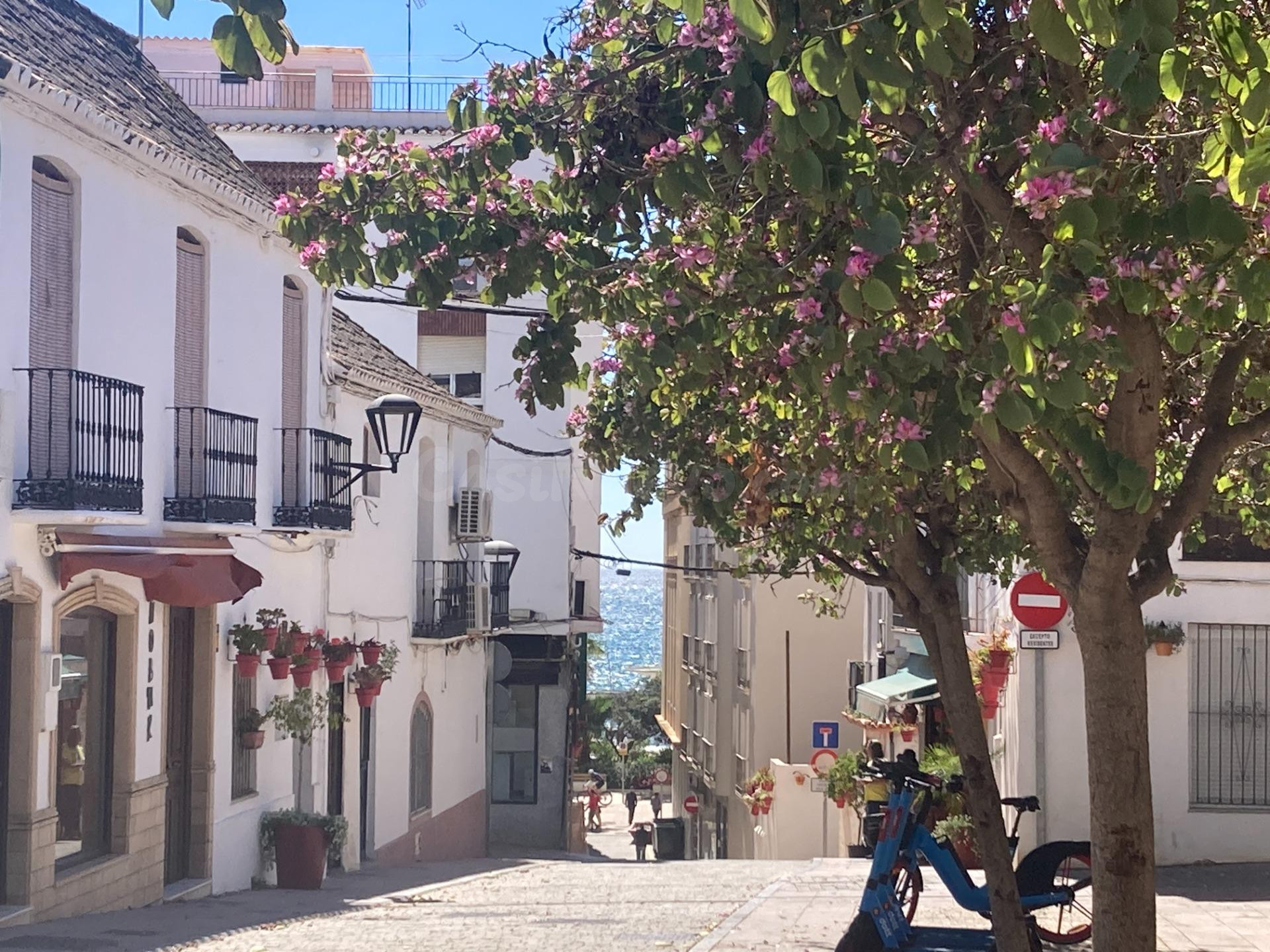Local y dos pisos en venta en Estepona | CABANILLAS REAL EST - foto 2