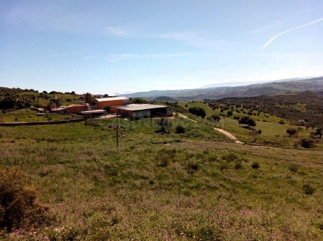 Finca en venta en Casares | CABANILLAS REAL ESTATE - foto 2