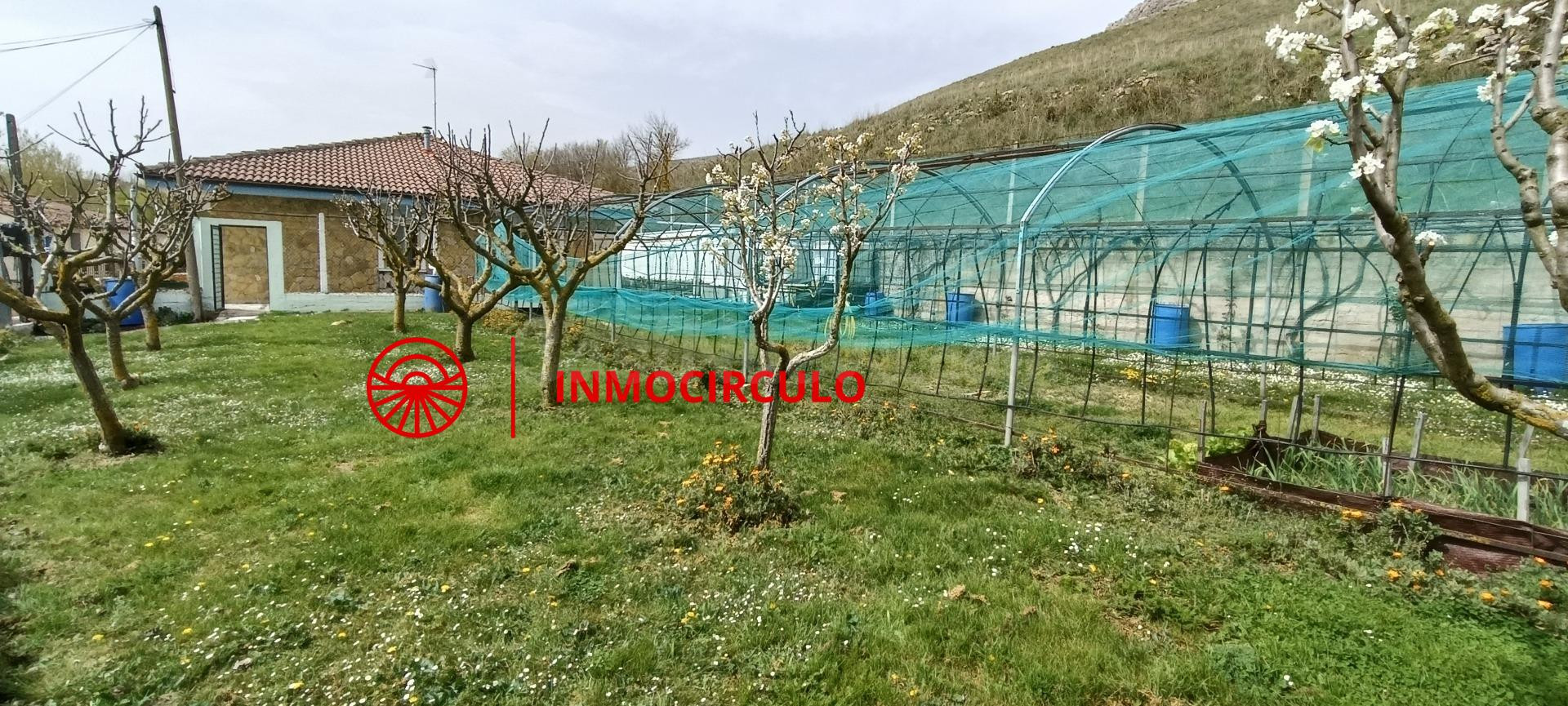 VIVE RODEADO DE SOL Y NATURALEZA A 15 MINUTOS DE BURGOS, IDE
