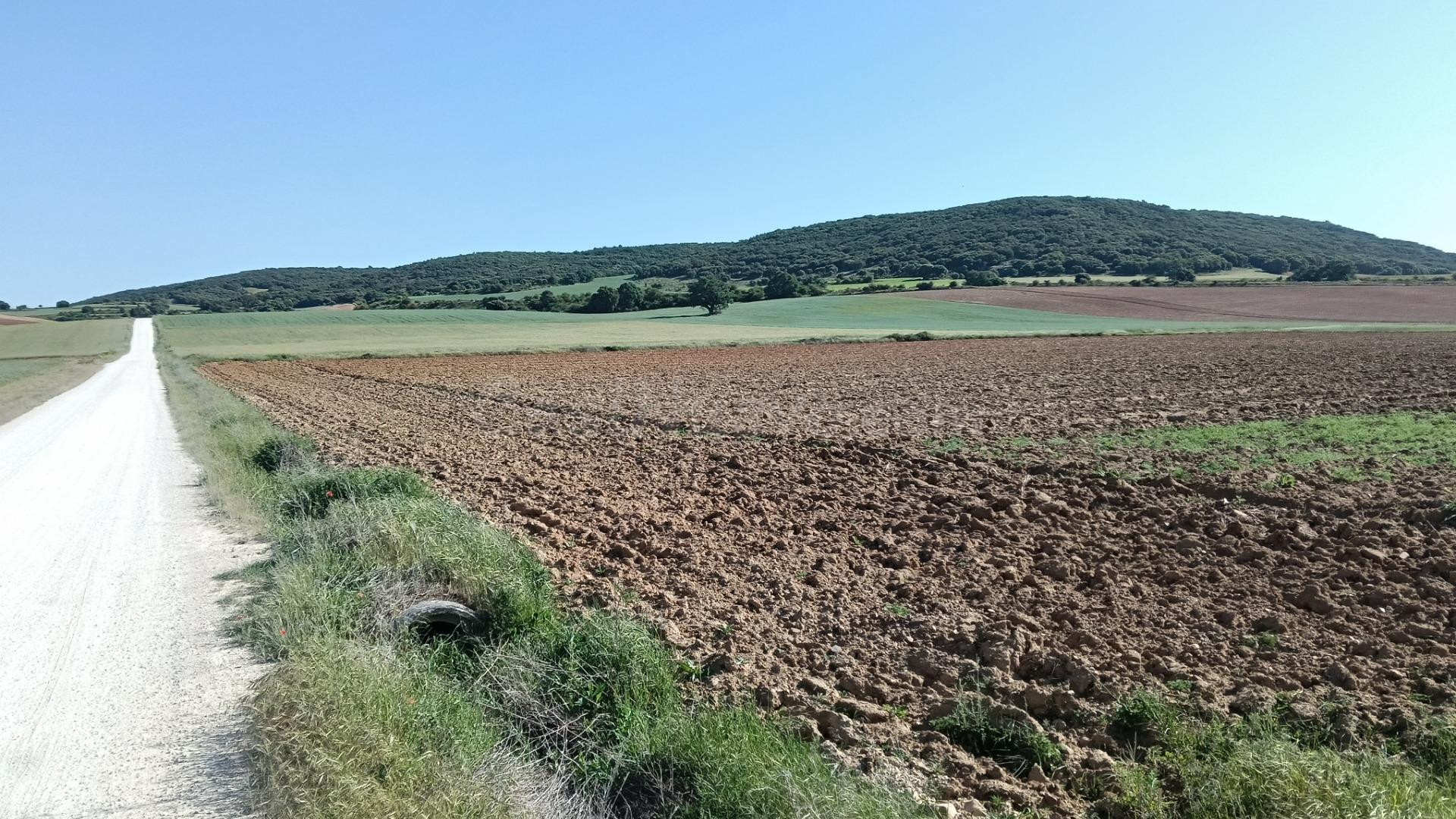 Finca rústica en Ibeas de Juarros