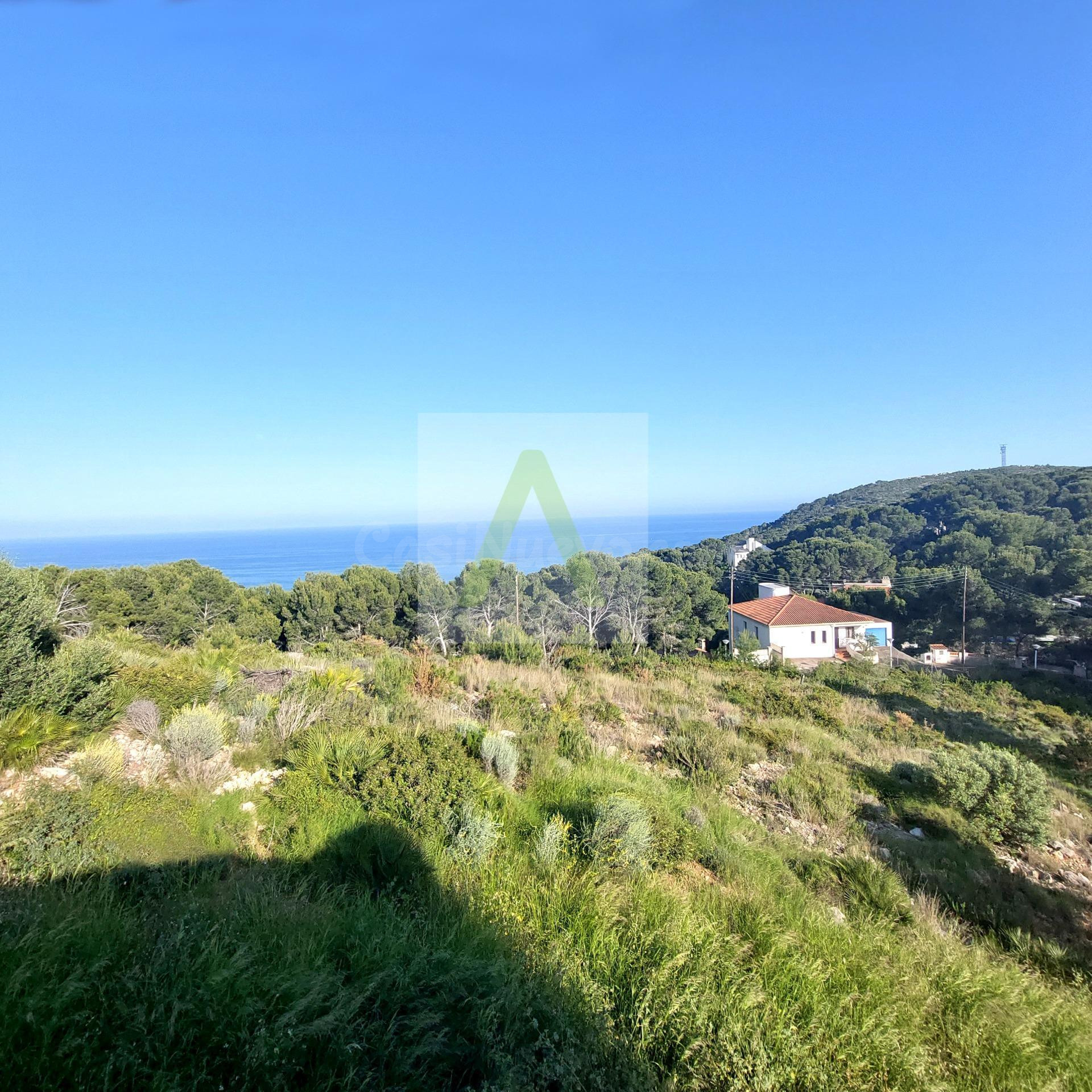 Amplio terreno Con Preciosas Vistas en el Balcó - foto 3