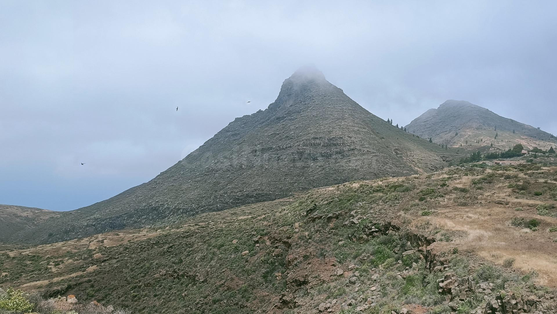 SE VENDE FINCA RÚSTICA EN SANTA CRUZ DE TENERIFE ( VILAFLOR)