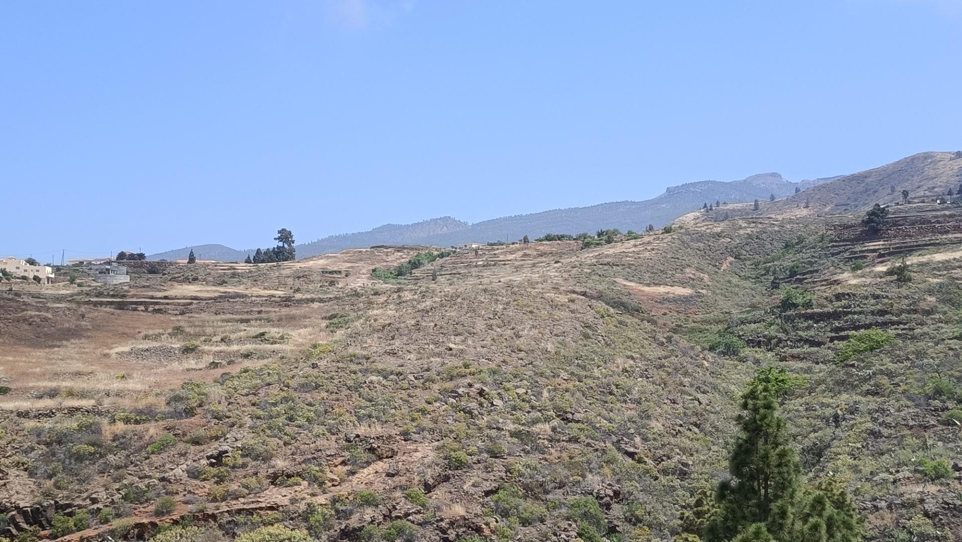 SE VENDE FINCA RÚSTICA EN SANTA CRUZ DE TENERIFE ( VILAFLOR) - foto 2