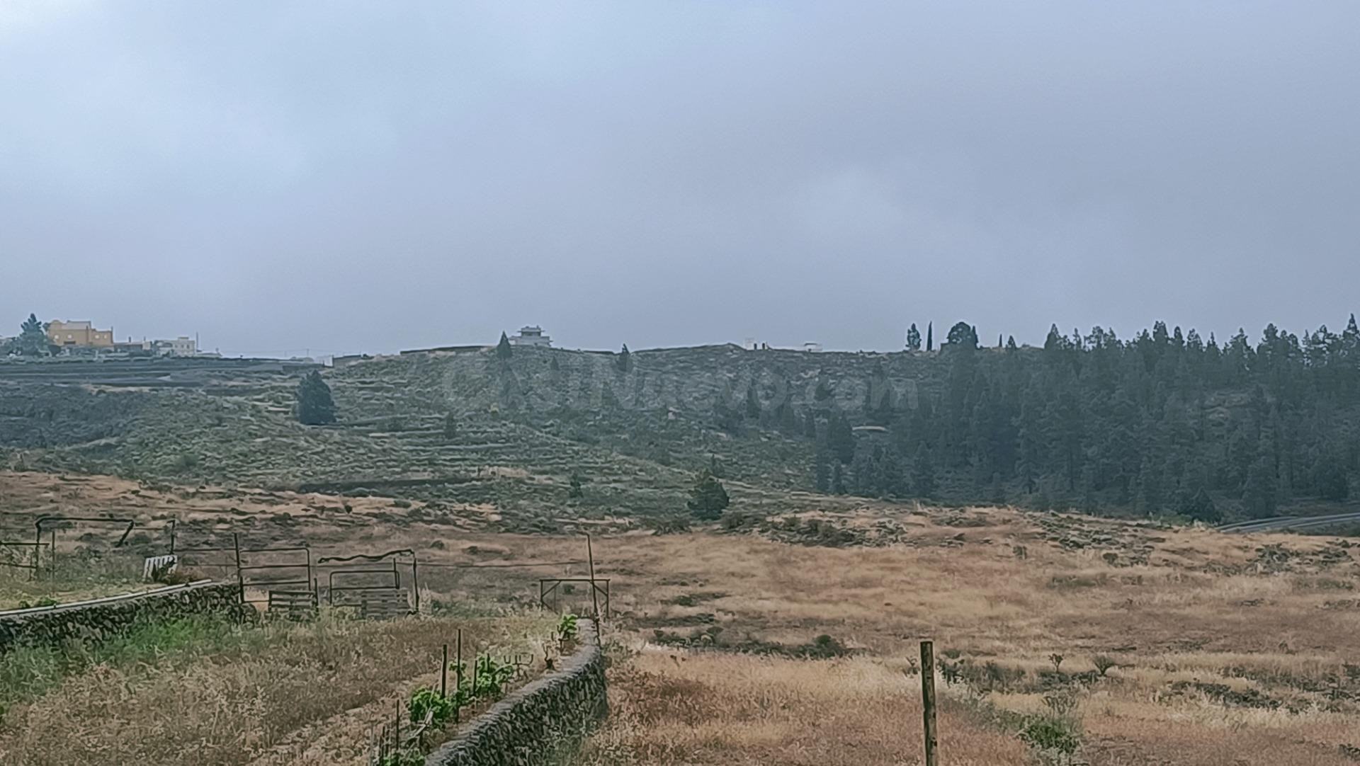 SE VENDE FINCA RÚSTICA EN SANTA CRUZ DE TENERIFE ( VILAFLOR) - foto 5