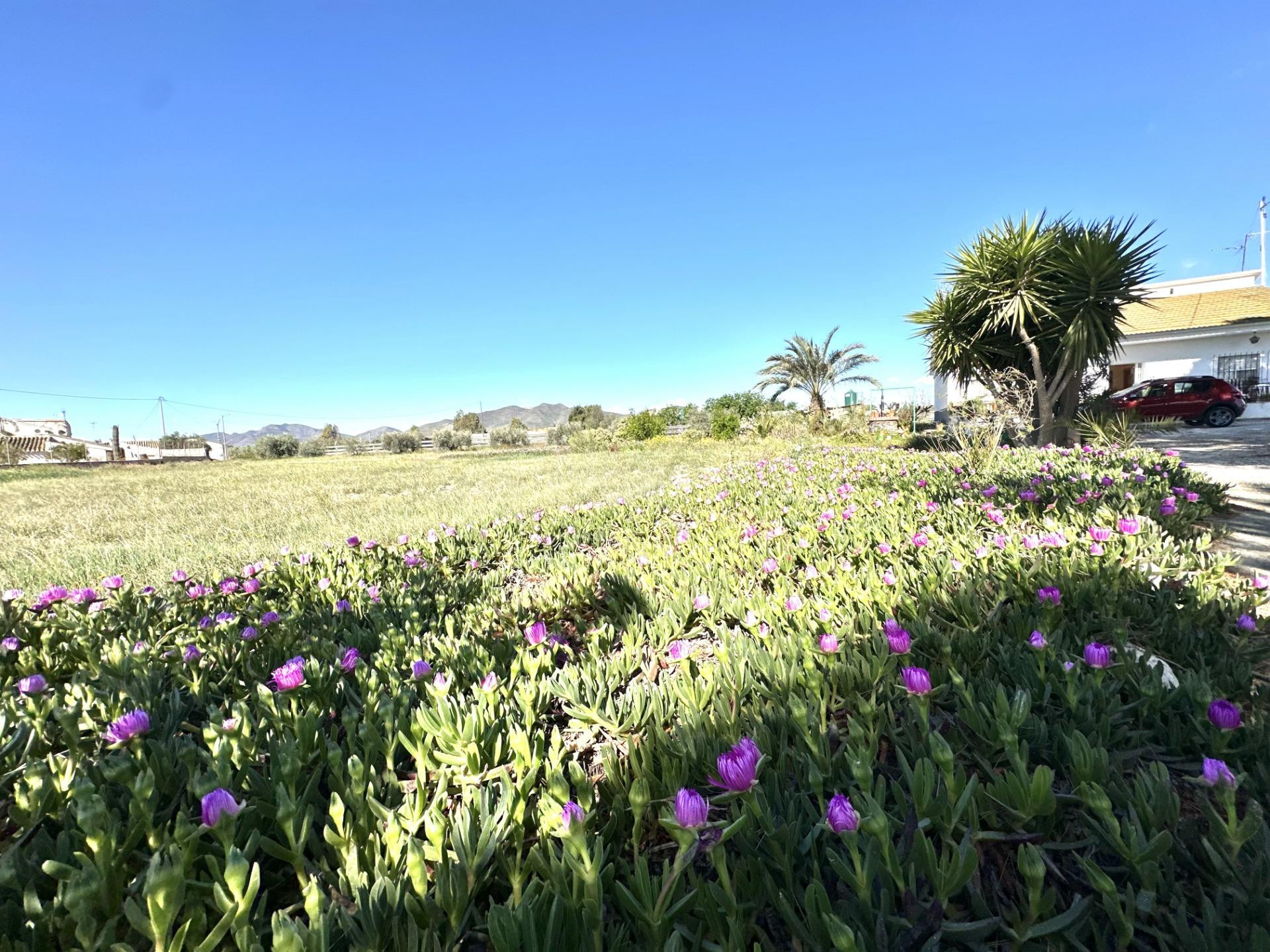 REFUGIO EN EL CAMPO CON TODO EL ESPACIO QUE NECESITAS! - foto 5