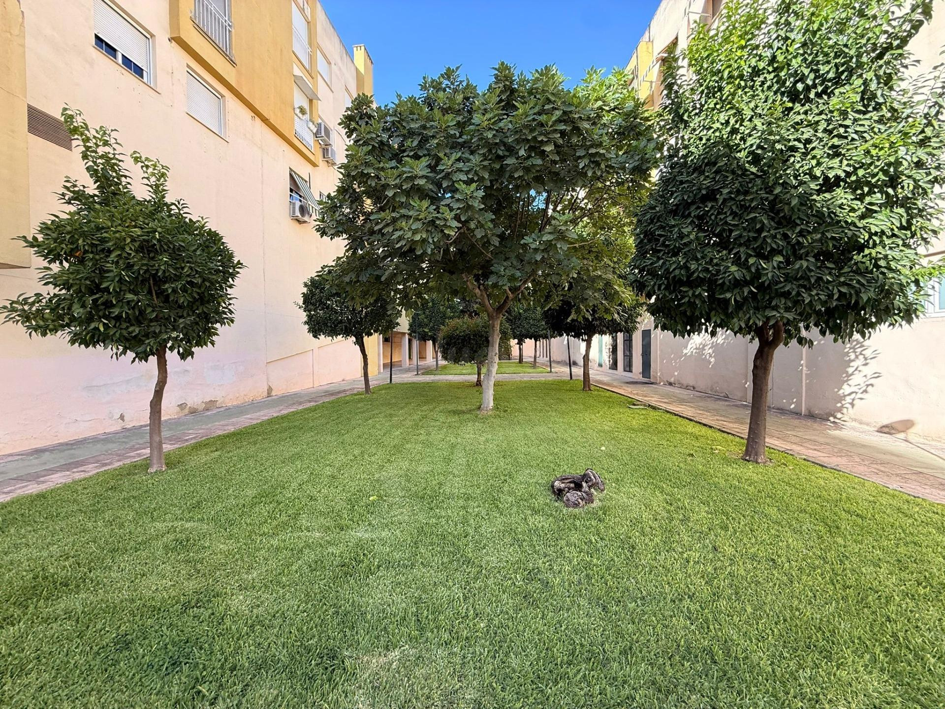 ¡PISO REFORMADO Y AMUEBLADO EN OLLERÍAS! JUNTO A TORRE DE LA MALMUERTA Y PLAZA DE COLÓN - foto 4