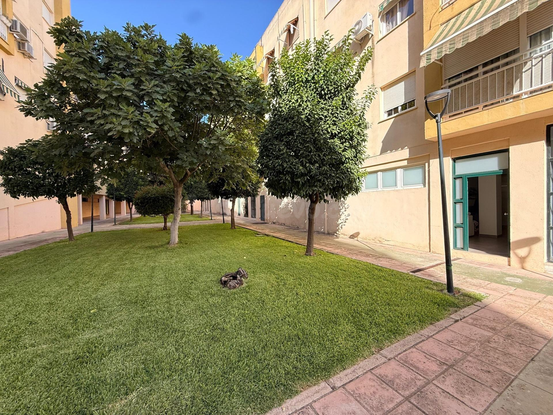 ¡PISO REFORMADO Y AMUEBLADO EN OLLERÍAS! JUNTO A TORRE DE LA MALMUERTA Y PLAZA DE COLÓN - foto 5