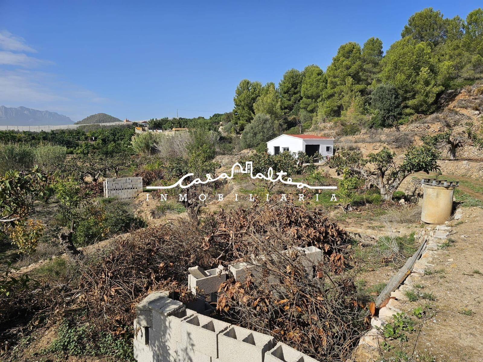 Venta de casita rustica con terreno - foto 4