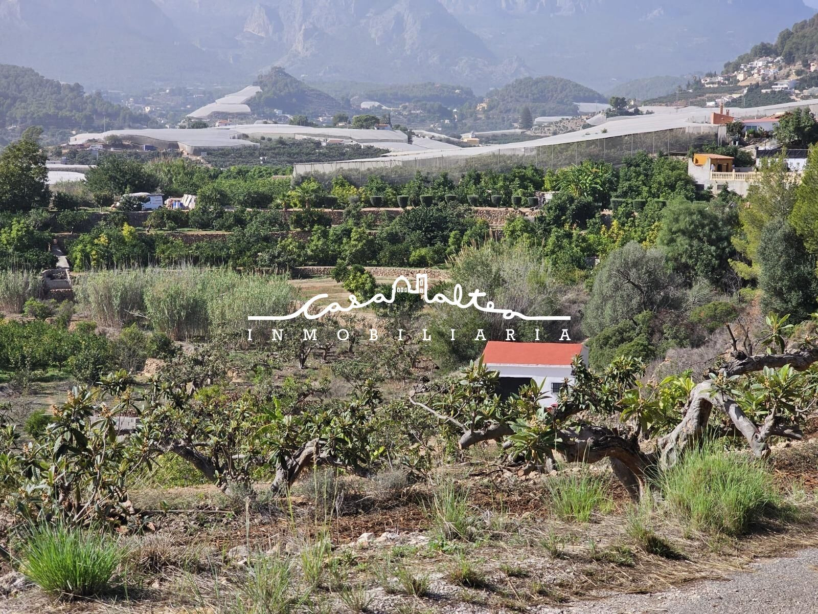 Venta de casita rustica con terreno - foto 5