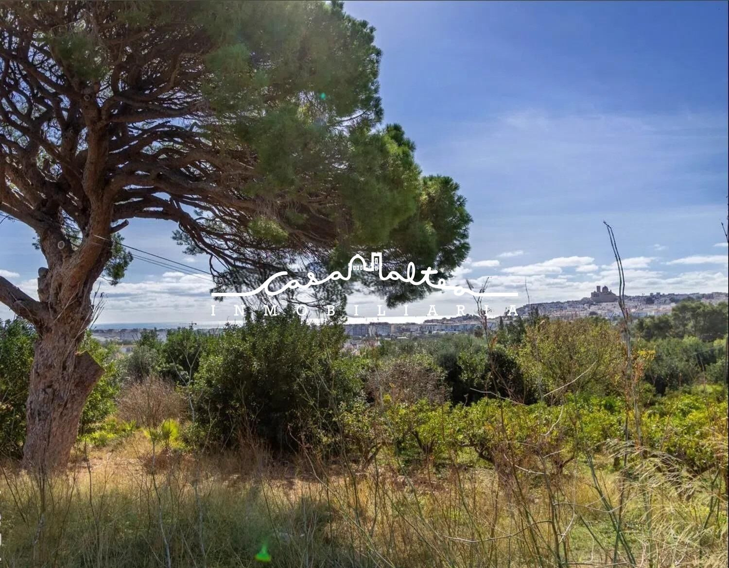 TERRENO EN VENTA EN ALTEA , EL PÍ DEL SENYORET