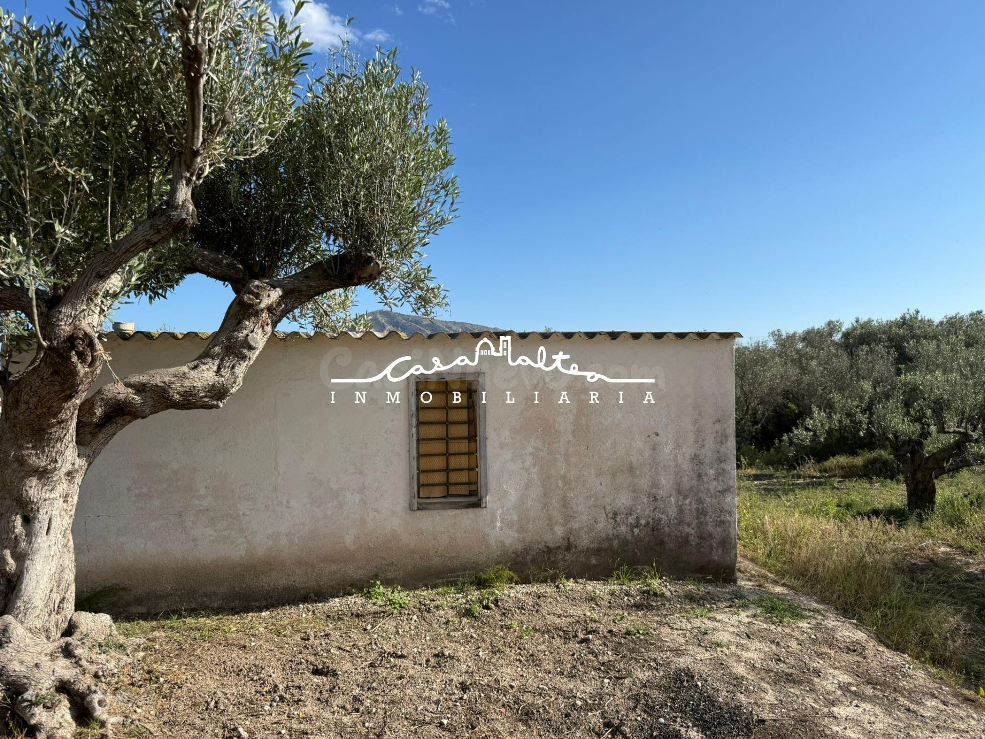 PARCELA RURAL CERCA DE SERVICIOS