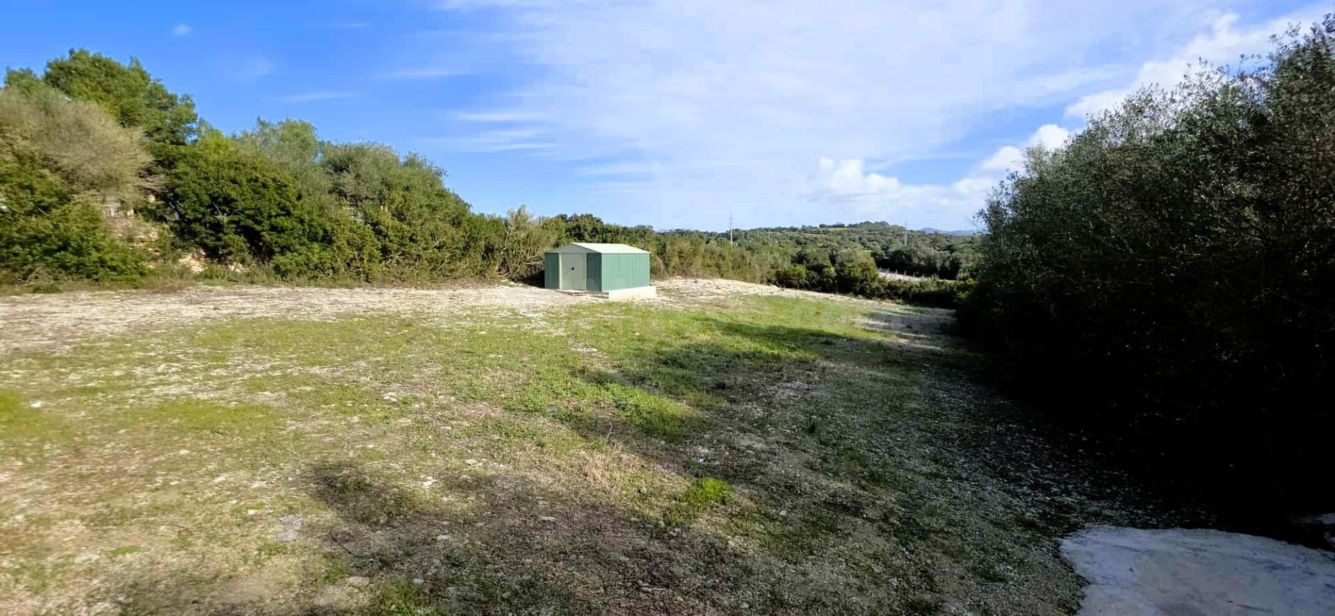 Finca rústica con agua de contador y caseta, a pocos minutos de Manacor