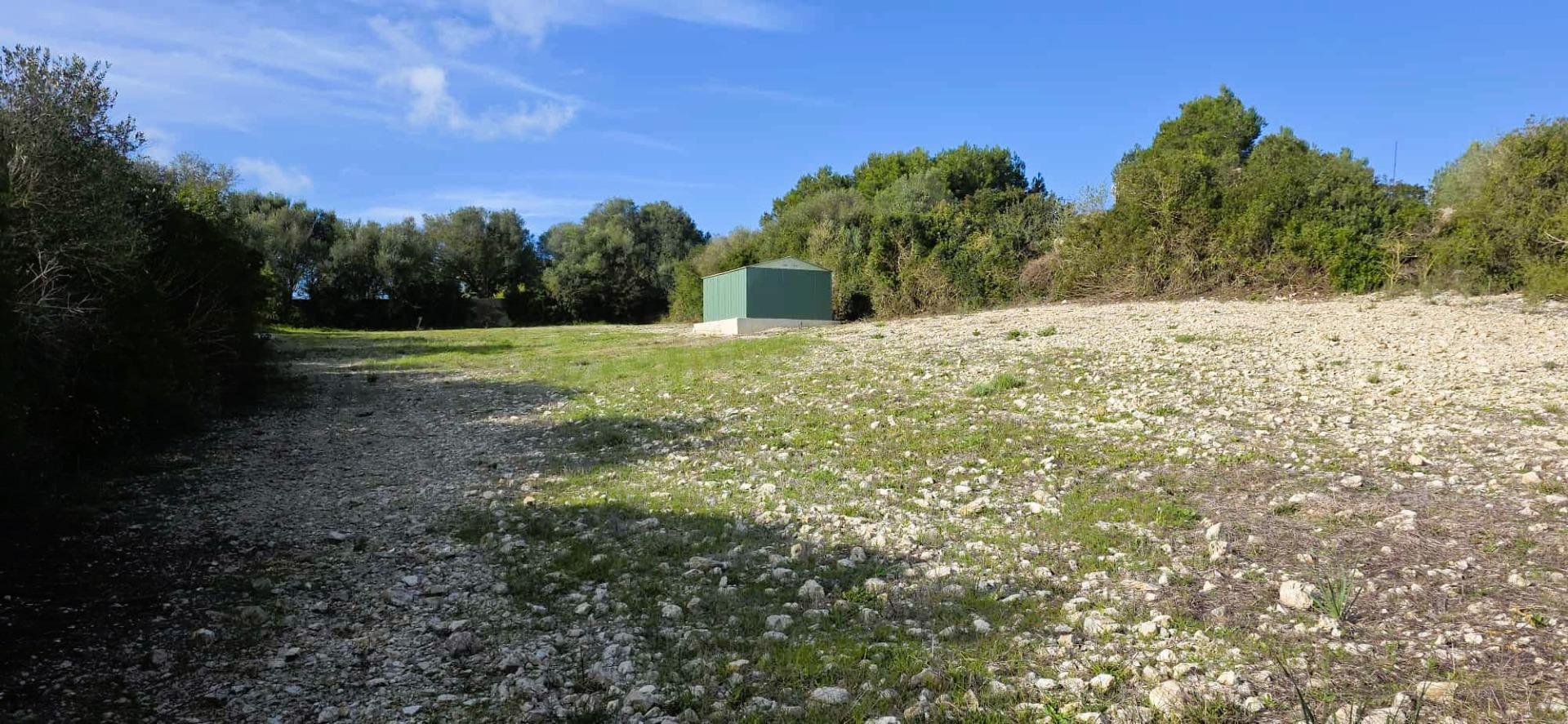 Finca rústica con agua de contador y caseta, a pocos minutos - foto 3