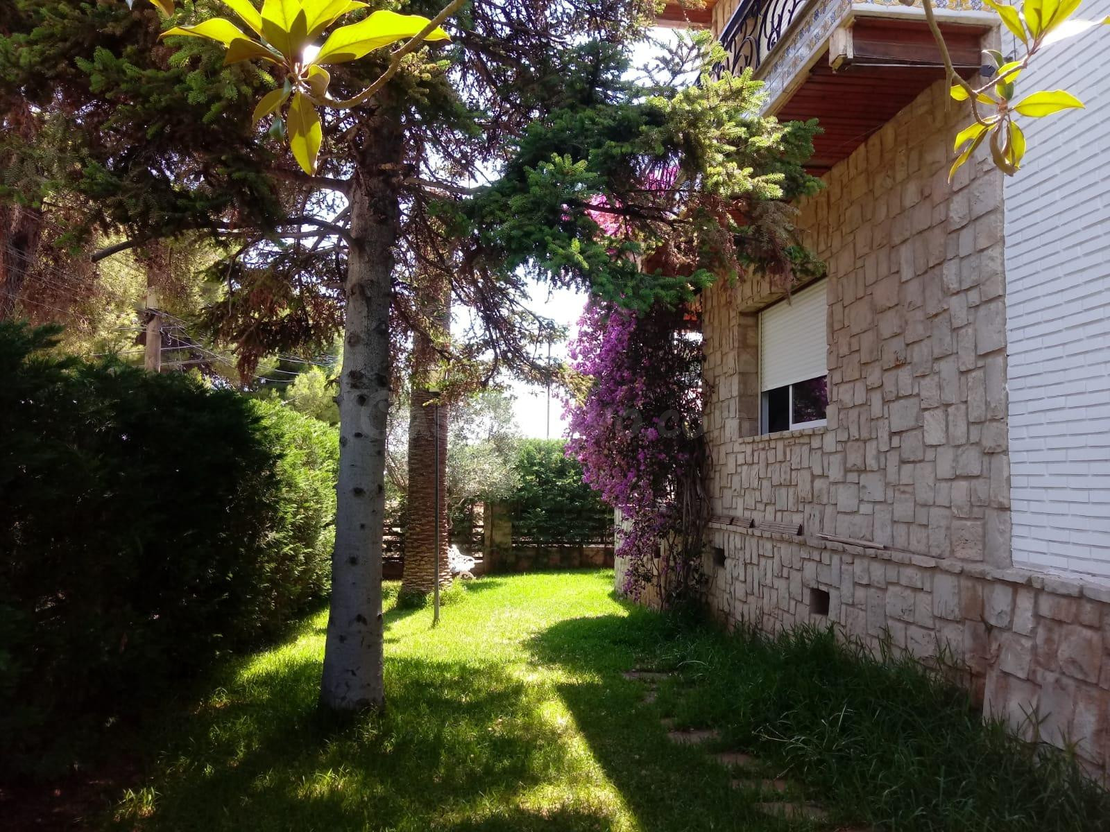 Chalet independiente en el Vedat Centro - foto 5