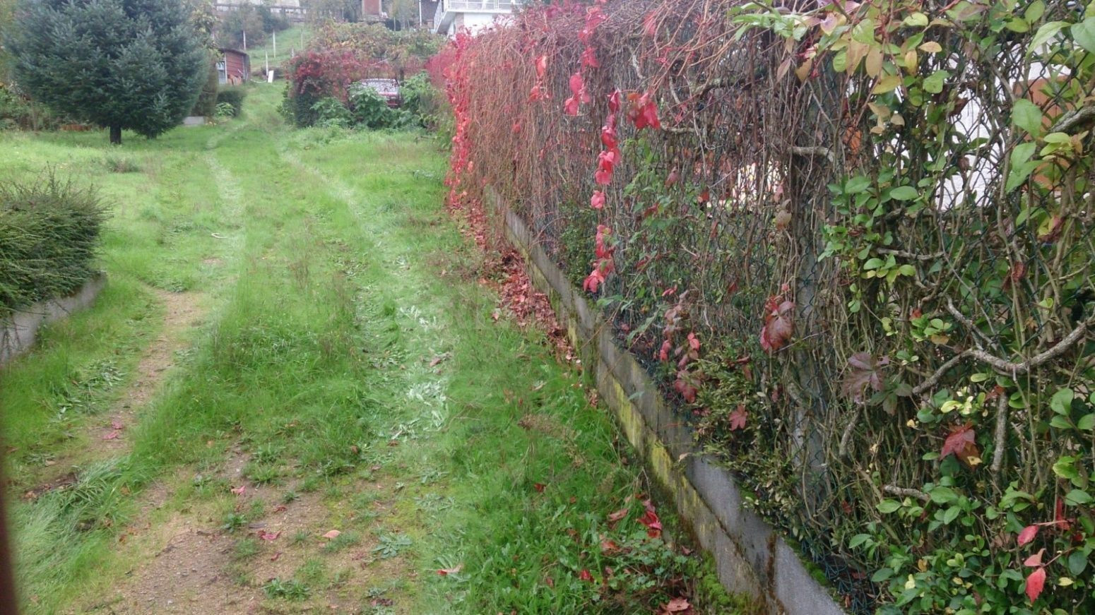 TERRENO EN SAN CIBRAO DAS VIÑAS - foto 3