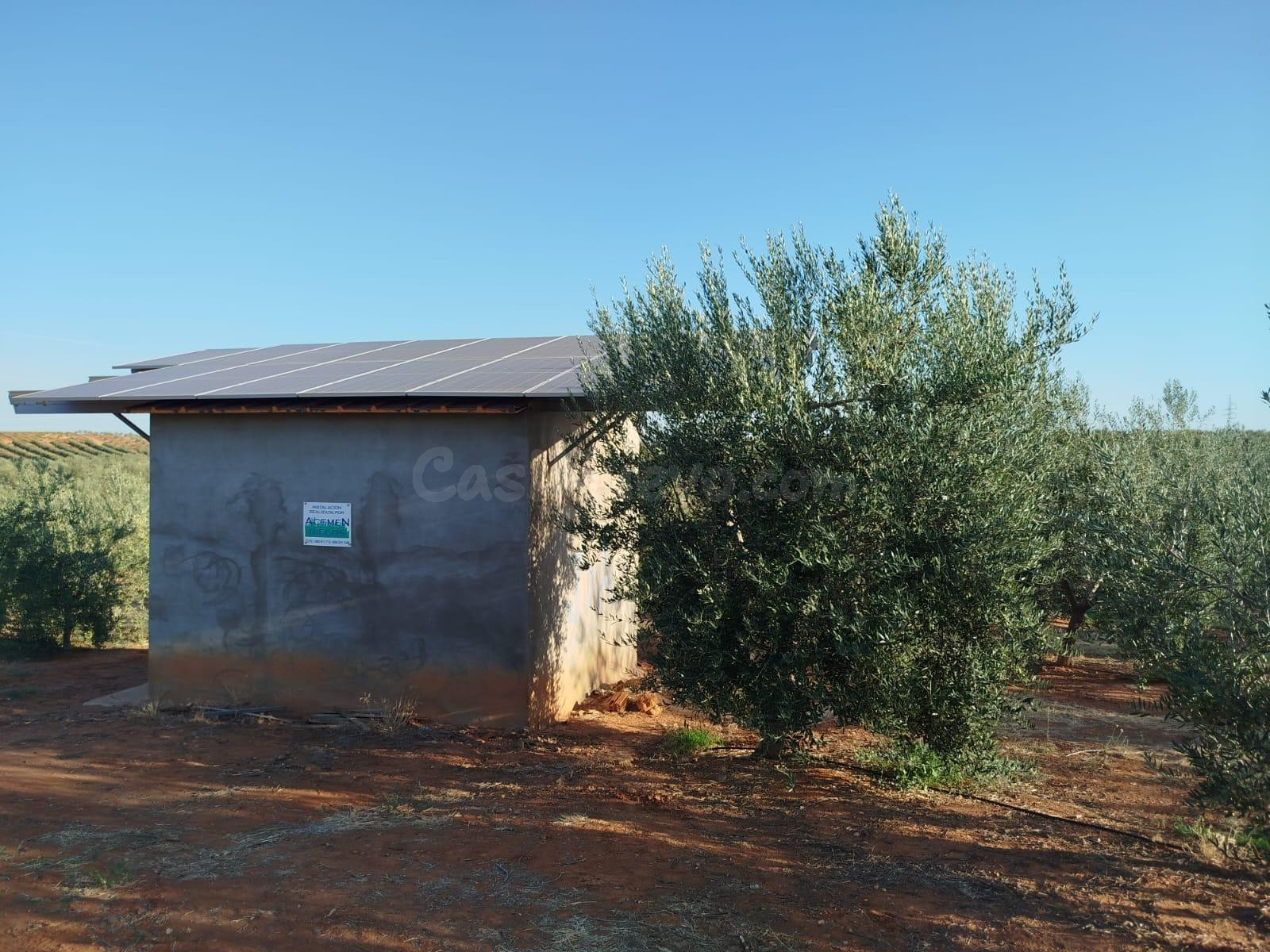 Finca rústica de olivar carrasqueña de regadío con placas so - foto 2