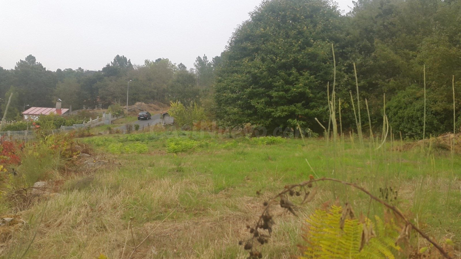 FINCA EDIFICABLE EN ZONA MUGARES - foto 2