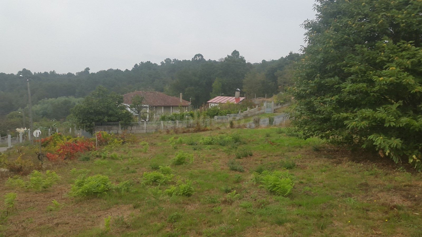 FINCA EDIFICABLE EN ZONA MUGARES - foto 4