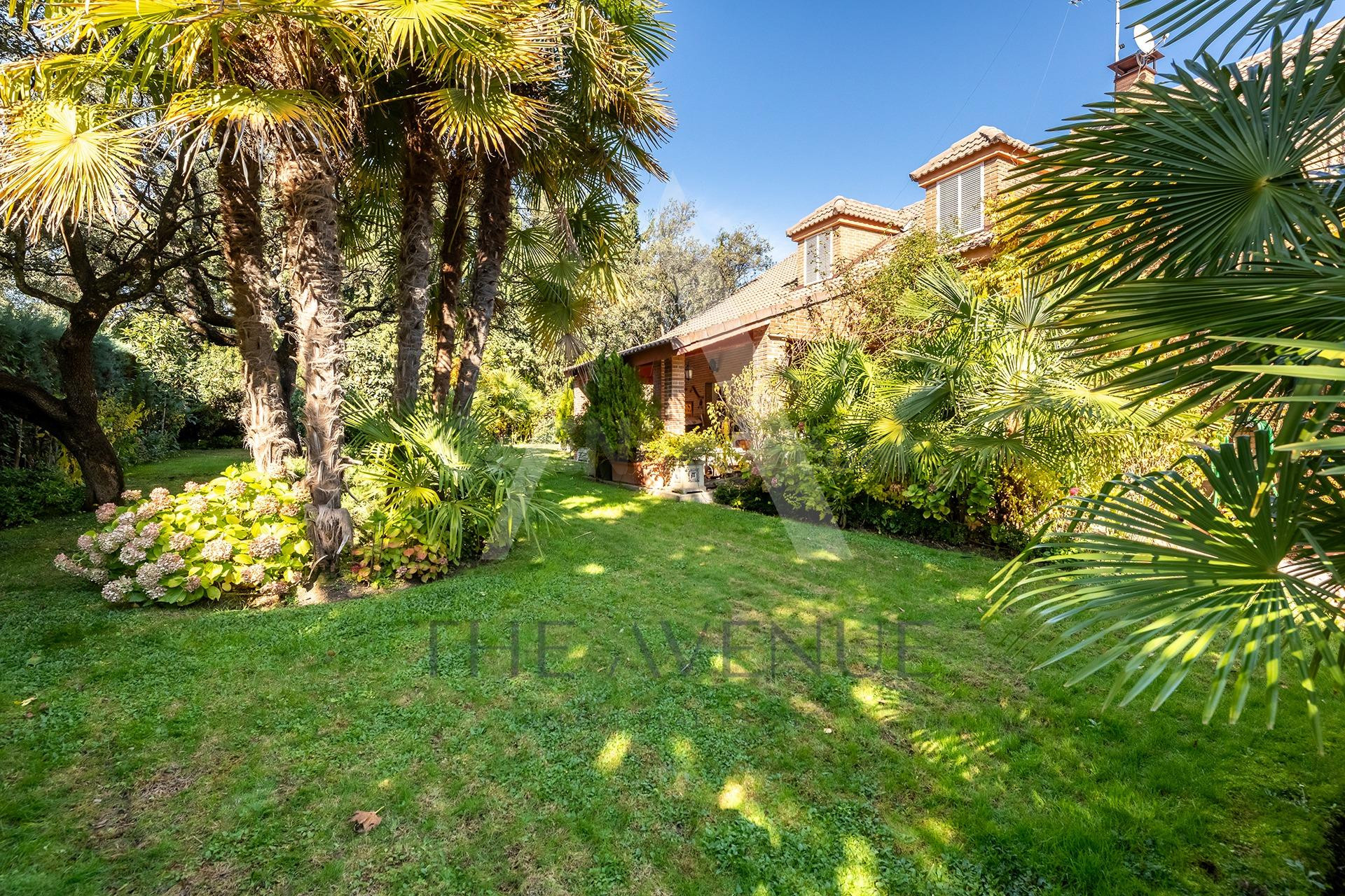 CHALET INDEPENDIENTE CON PISCINA Y JARDÍN CONSOLIDADO