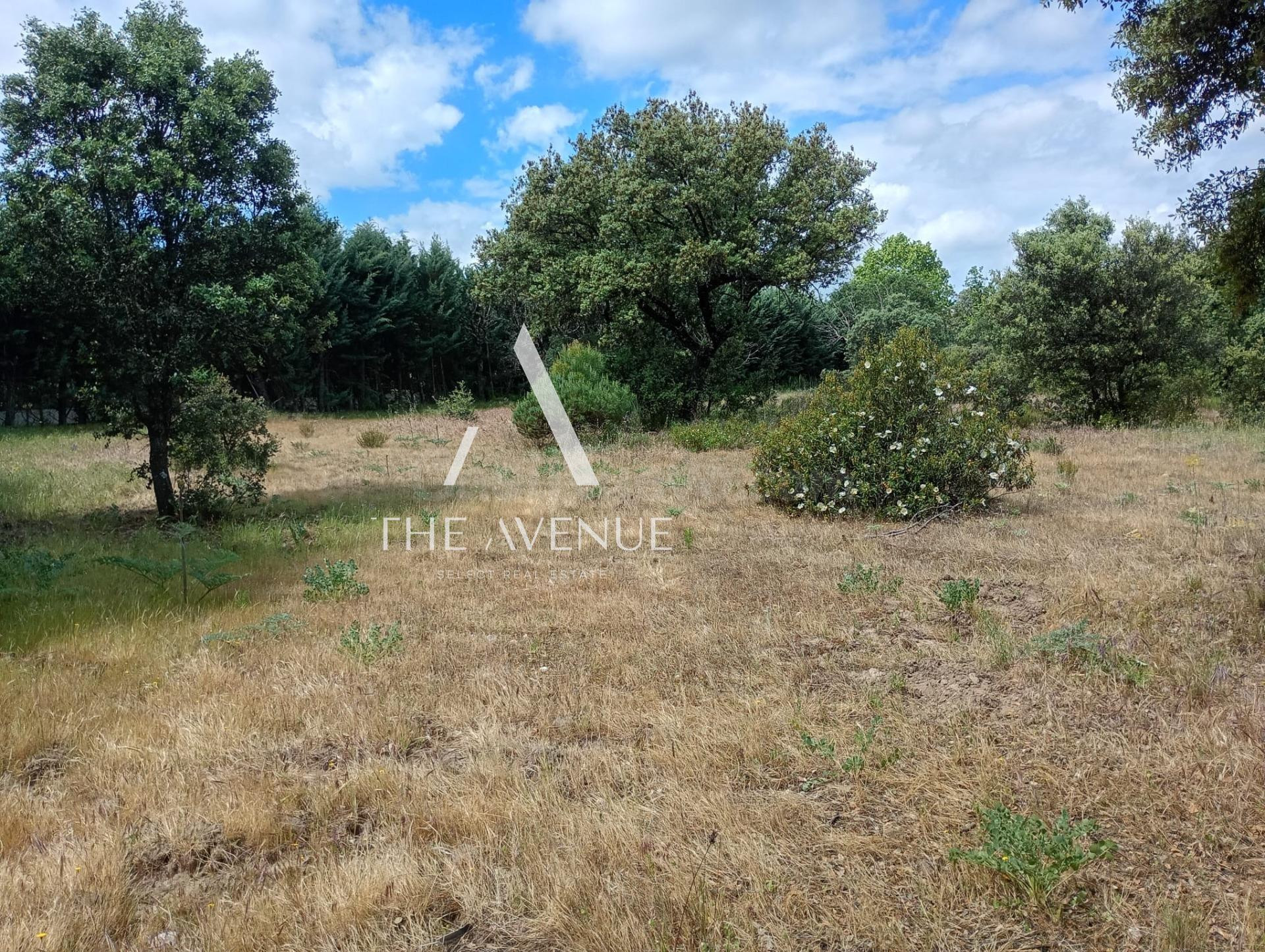 Parcela urbana próxima al centro de Boadilla del Monte - foto 2