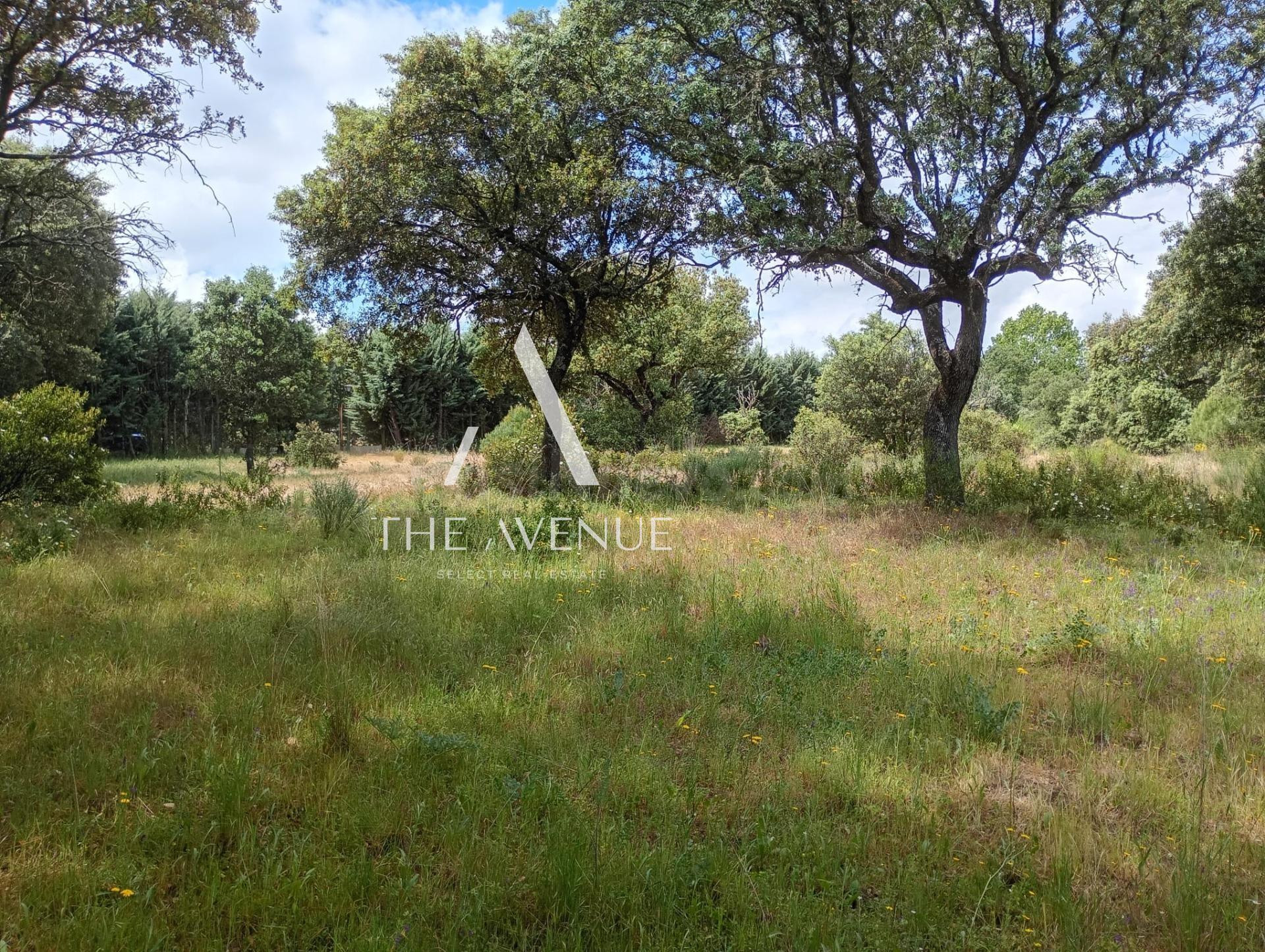 Parcela urbana próxima al centro de Boadilla del Monte - foto 3