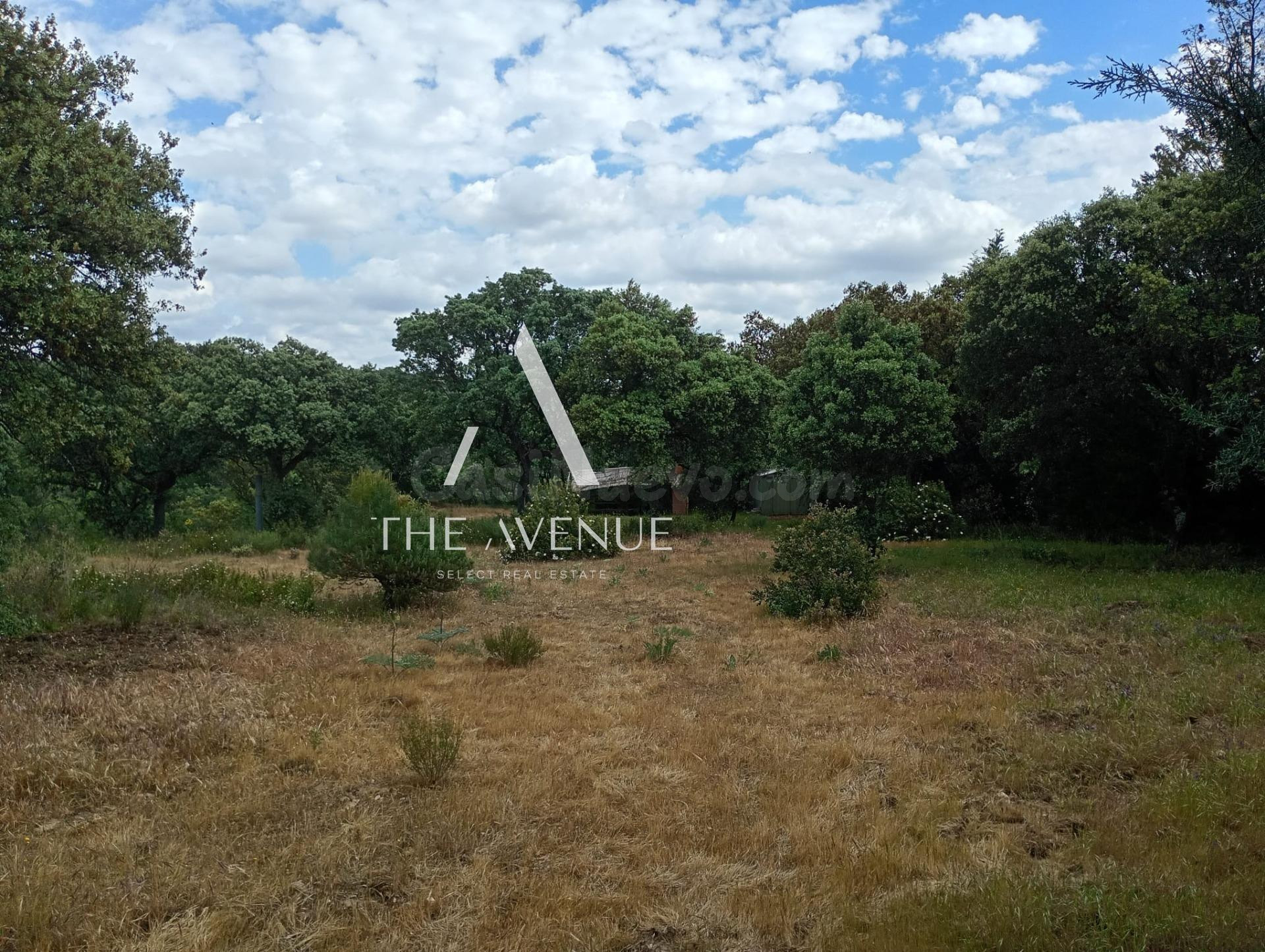 Parcela urbana próxima al centro de Boadilla del Monte - foto 5