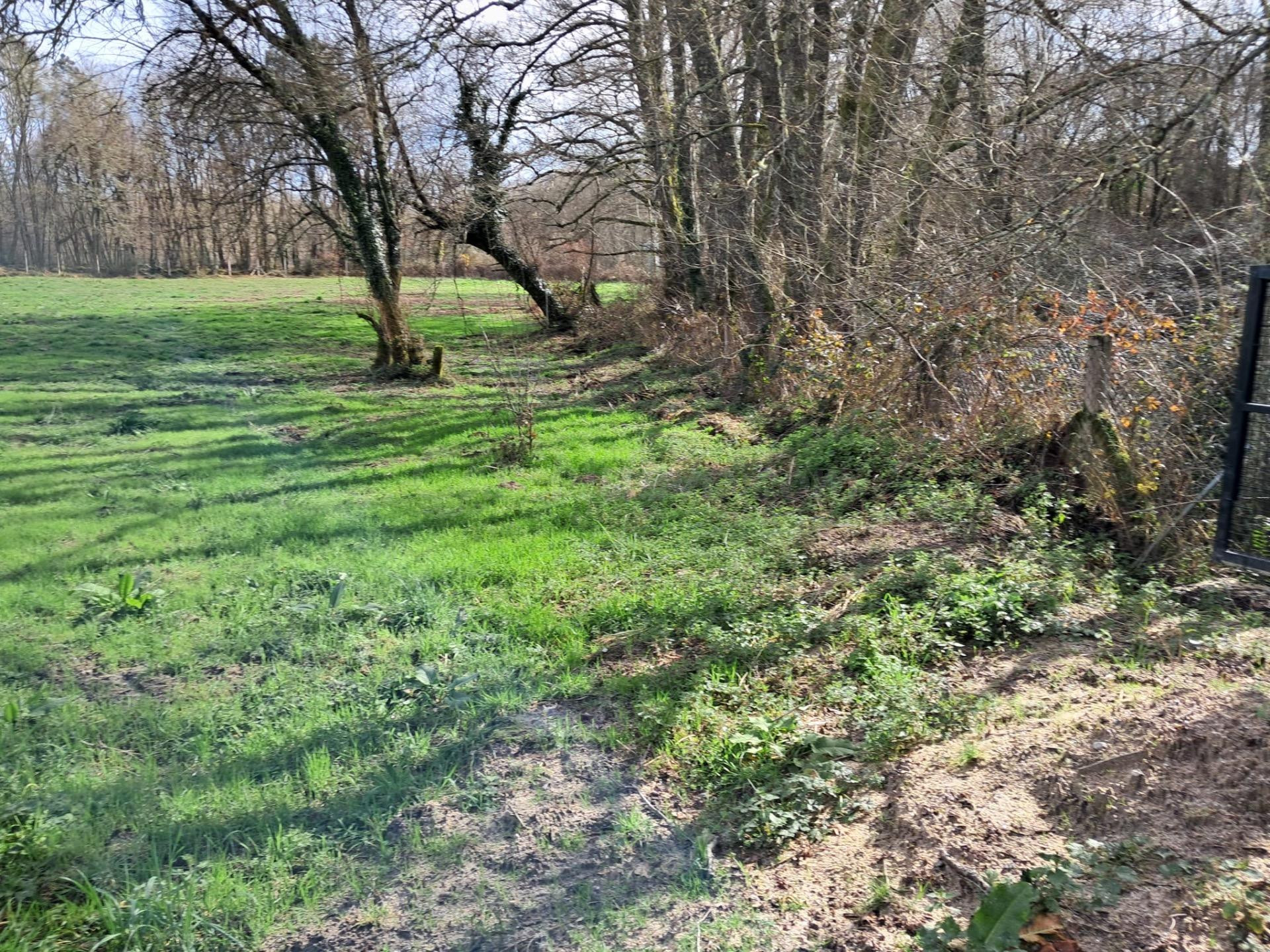 Casa con finca a 12 minutos de Ourense,Tamallancos. - foto 2