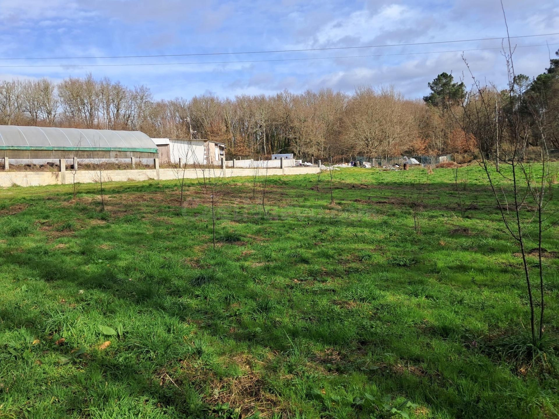 Casa con finca a 12 minutos de Ourense,Tamallancos. - foto 3