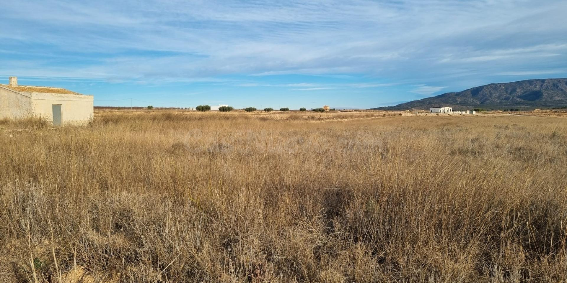 Parcela en Pinoso - foto 2