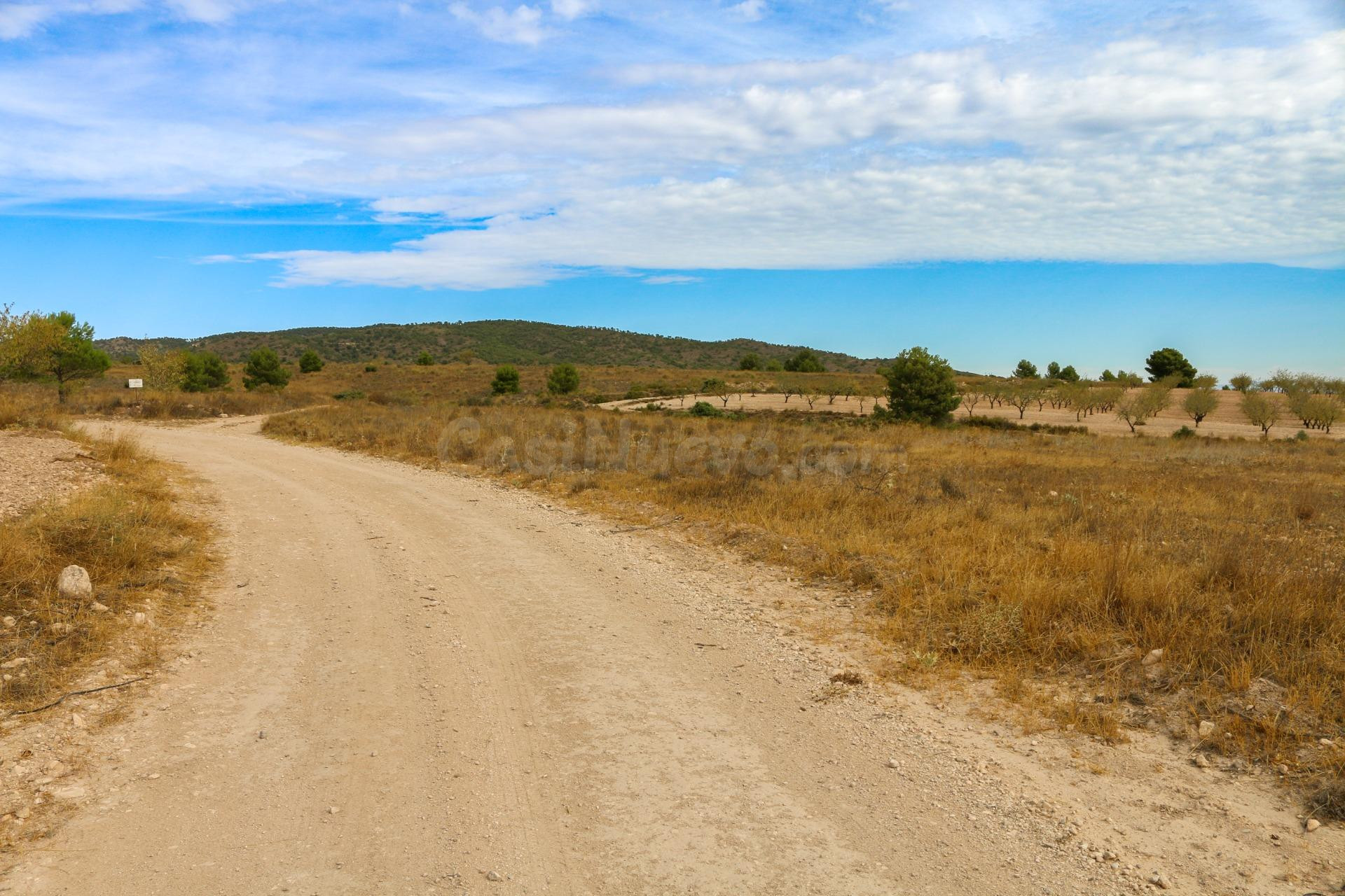 Terreno no urbano en Jumilla