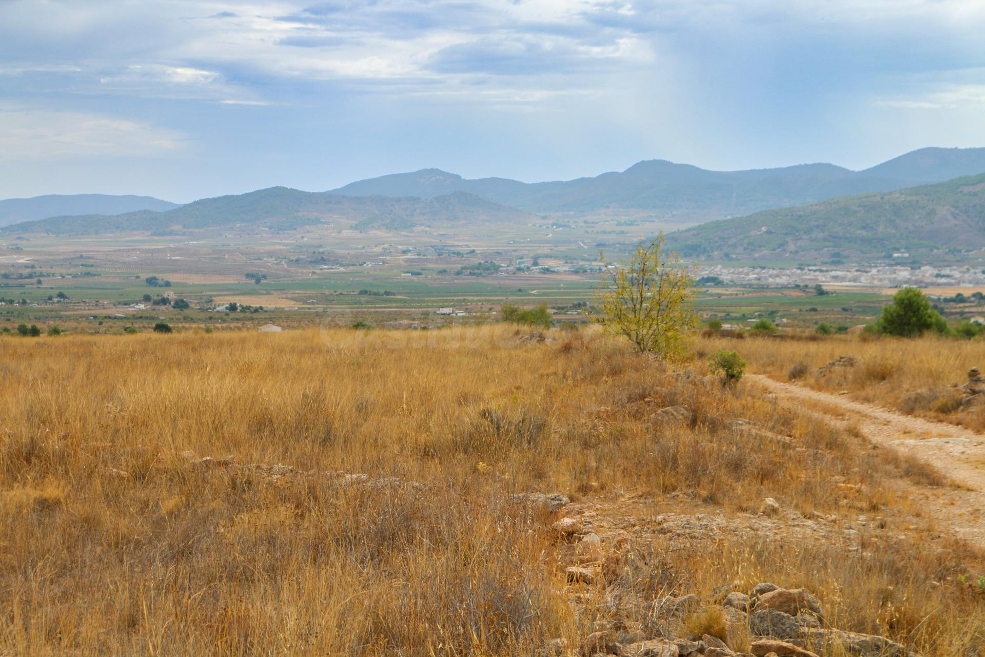 Terreno no urbano en Jumilla - foto 2