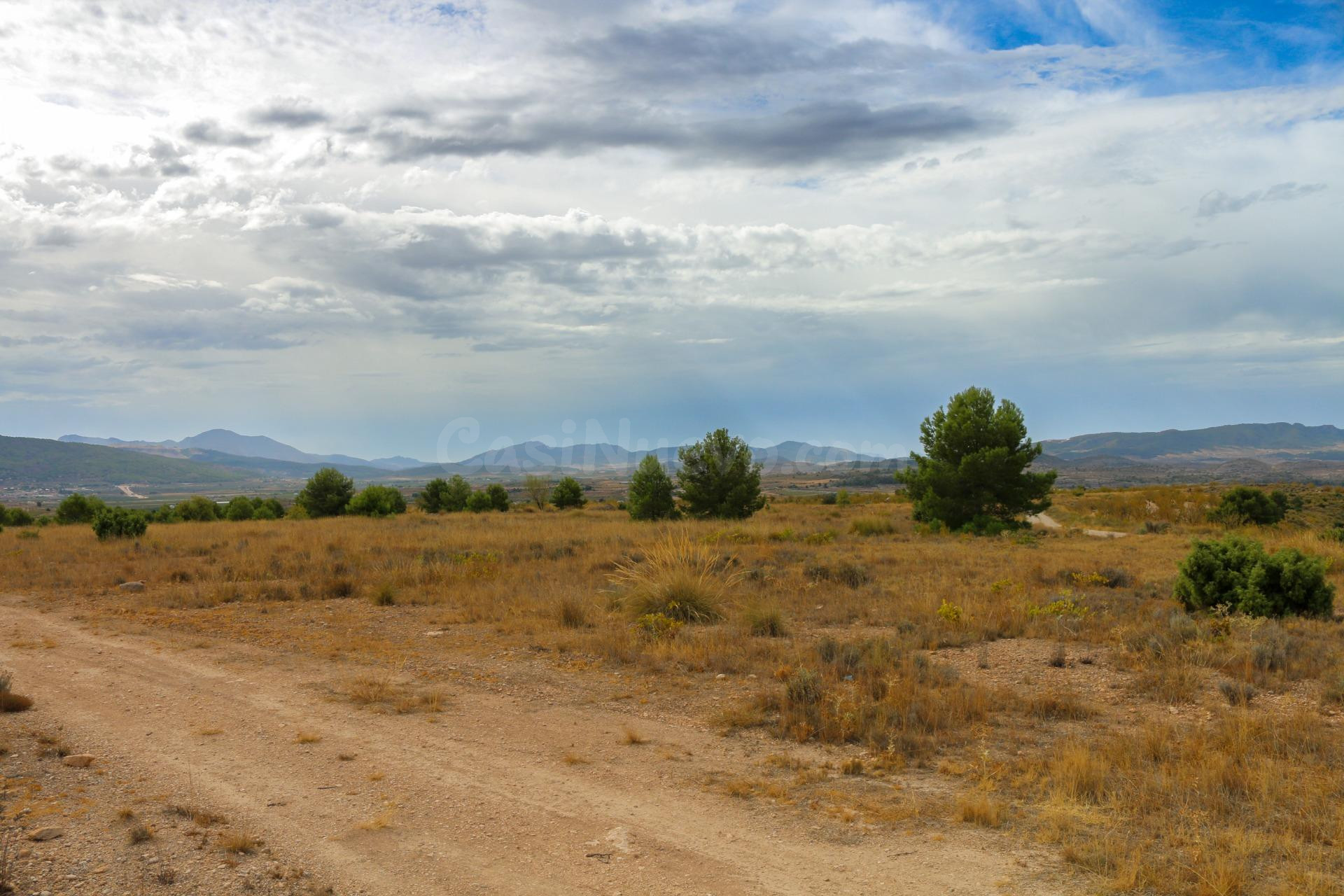 Terreno no urbano en Jumilla - foto 3