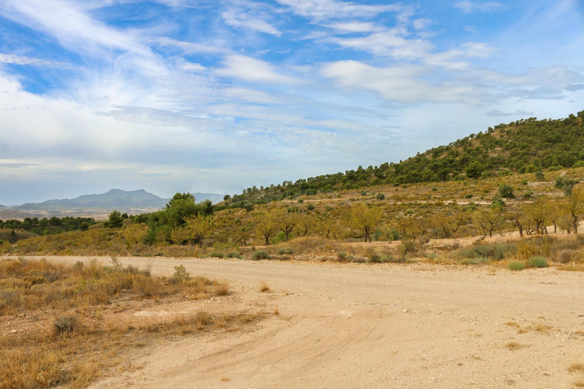 Terreno no urbano en Jumilla - foto 4