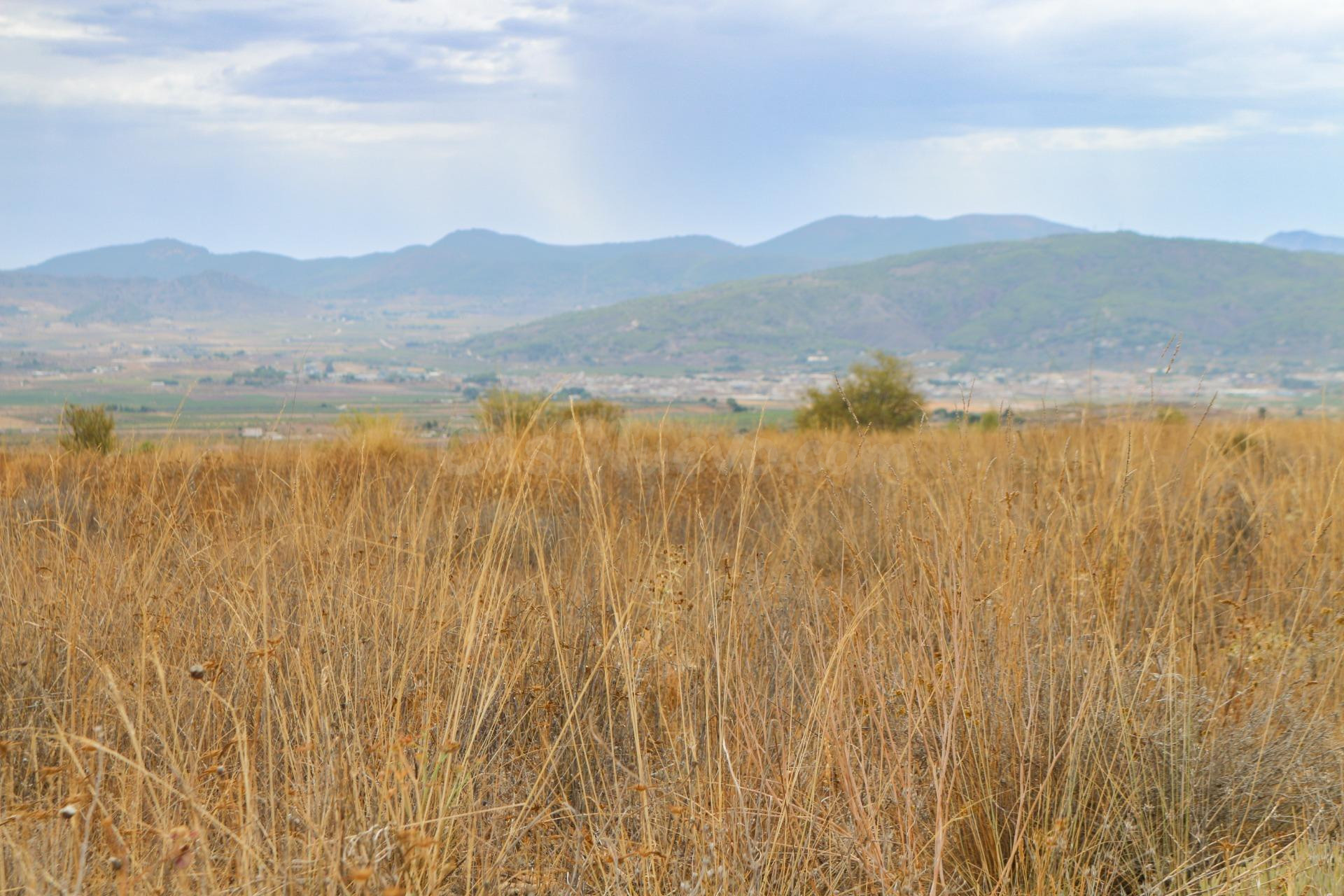 Terreno no urbano en Jumilla - foto 5
